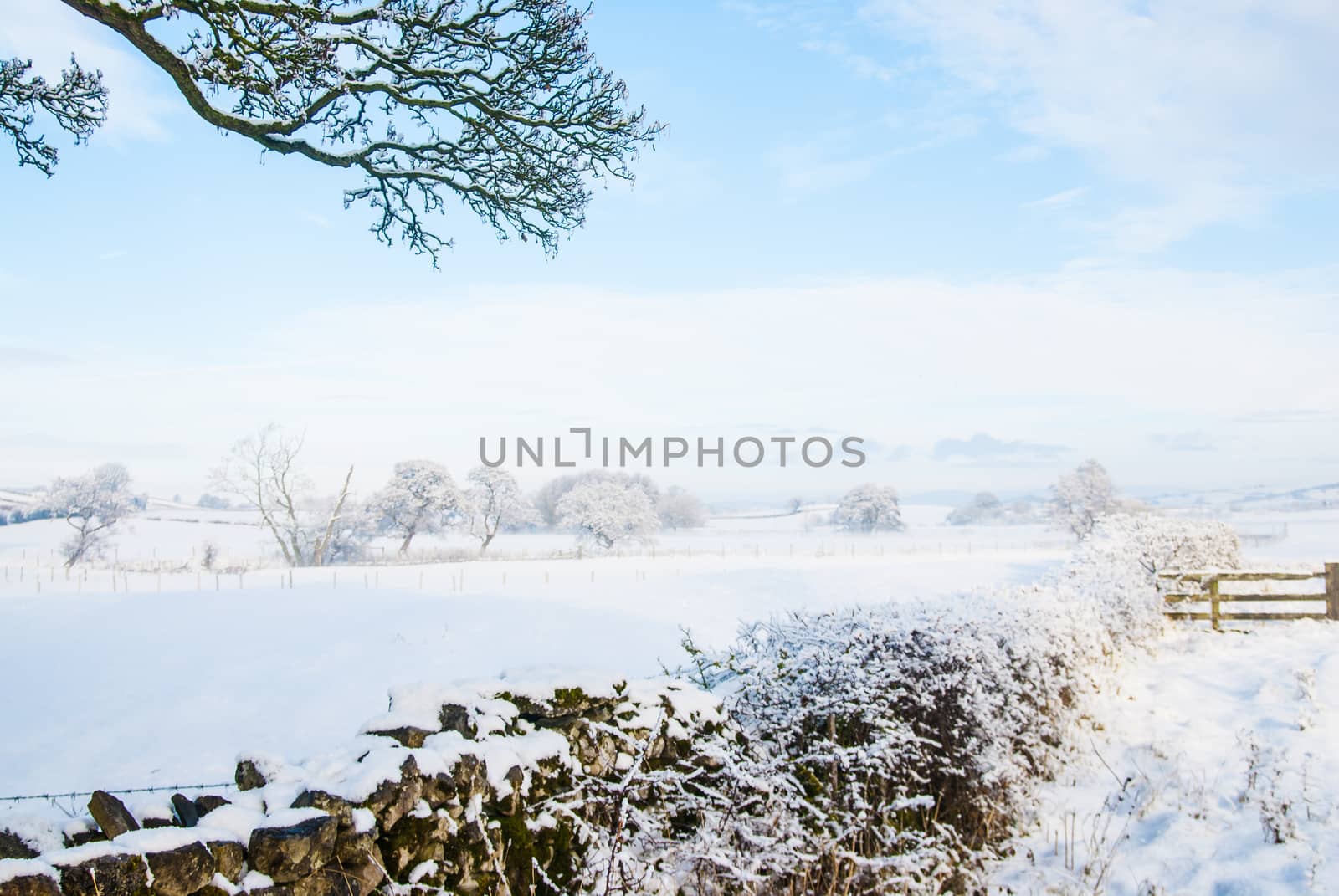 a dry stone wall and snow covered field with wooden fence in the distance by paddythegolfer