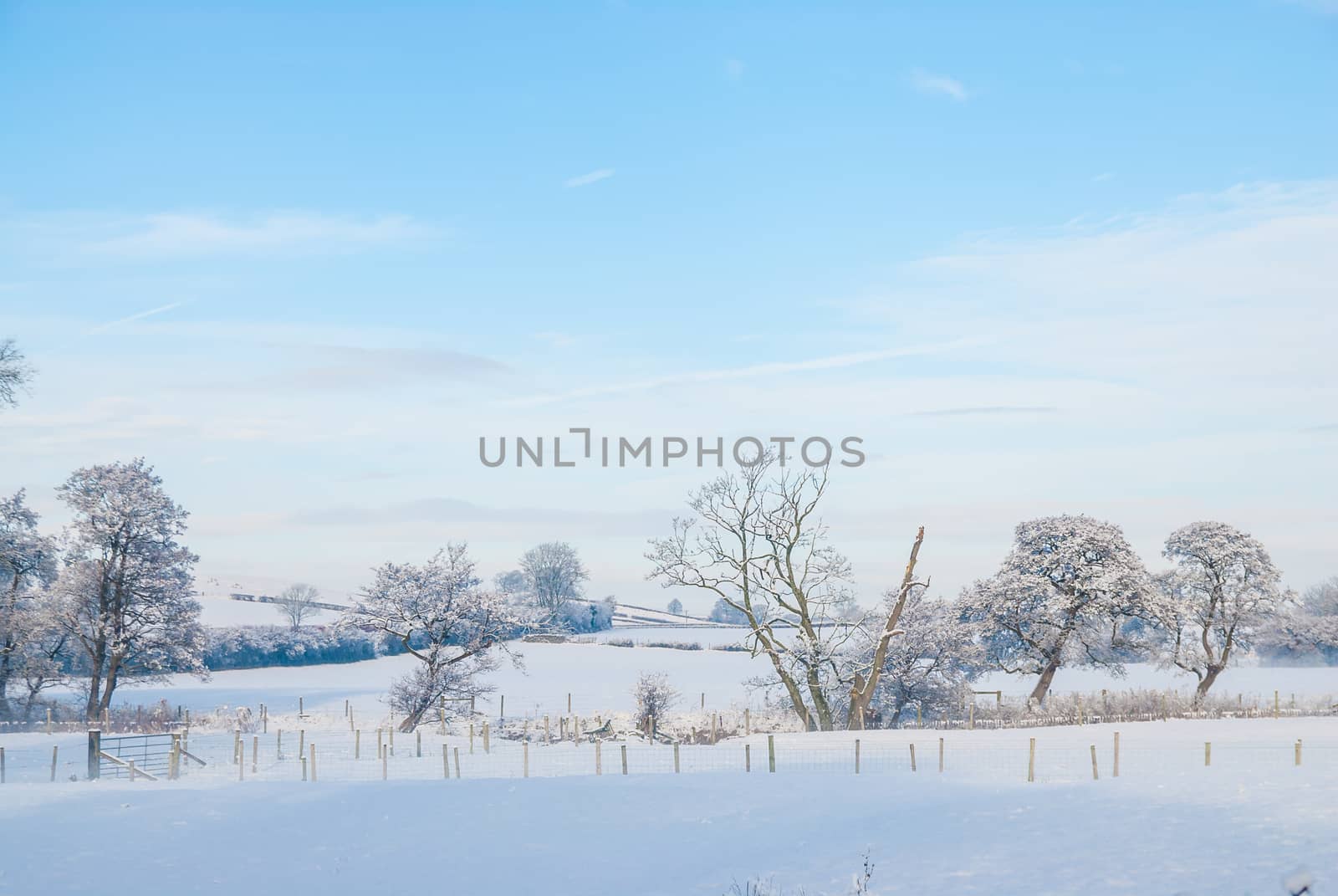 a simple background landscape with snow covered fields and distant trees UK