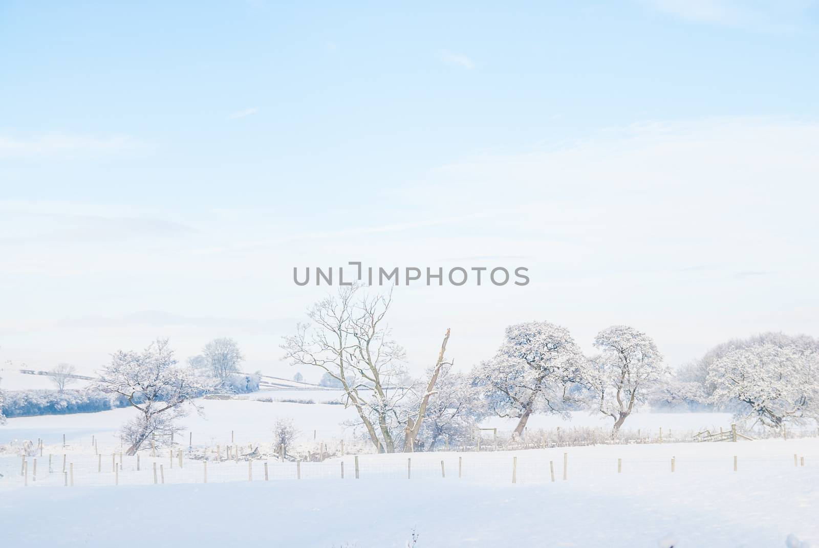 a simple background landscape with snow covered fields and distant trees half obscured by mist UK