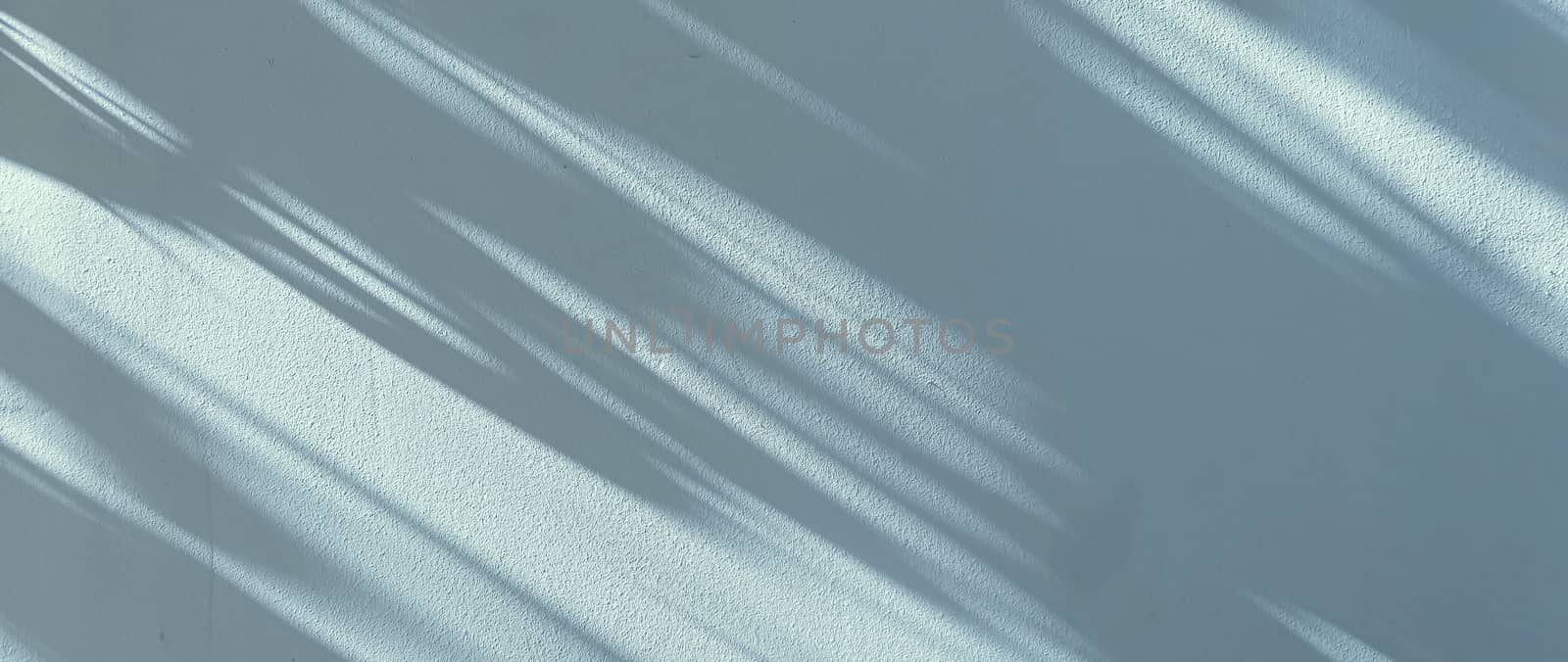 Shadows on the wall, sunshine and sun rays on summer day at sunset, nature and abstract concept