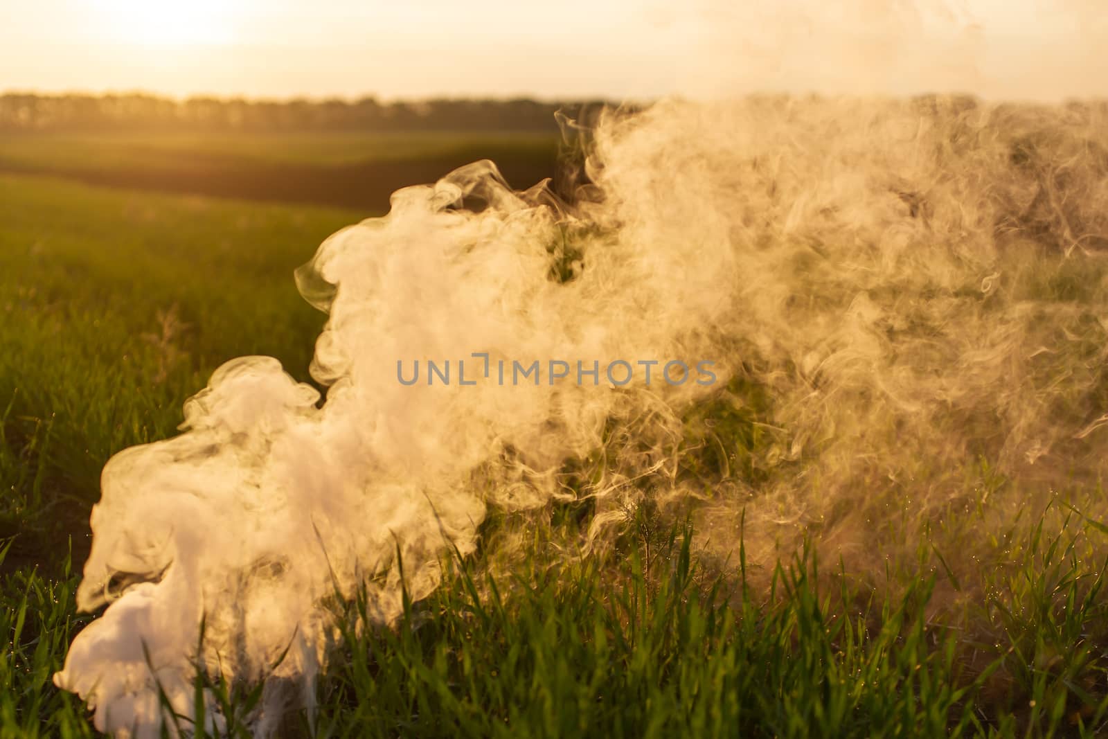 The white smoke in grass against evening sun. Golden time.