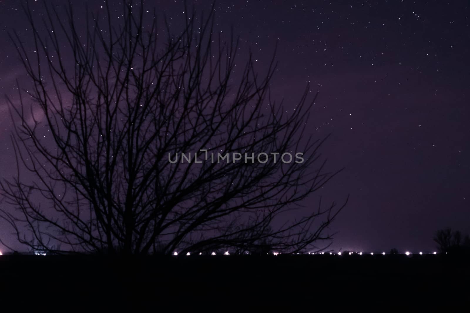 Long exposure night photo. A lot of stars with trees on foreground. Far from the city.
