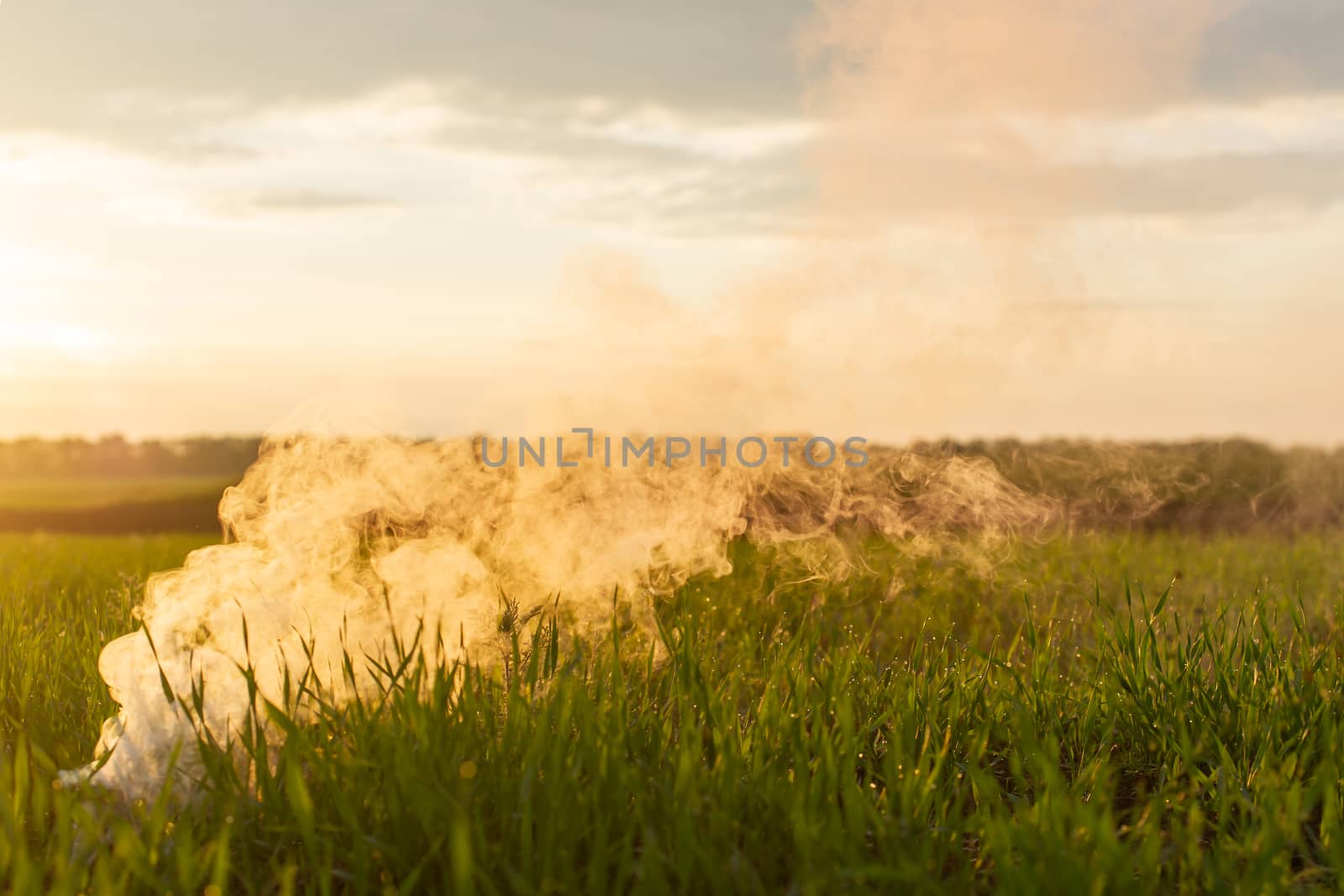 The white smoke in grass against evening sun.  by alexsdriver