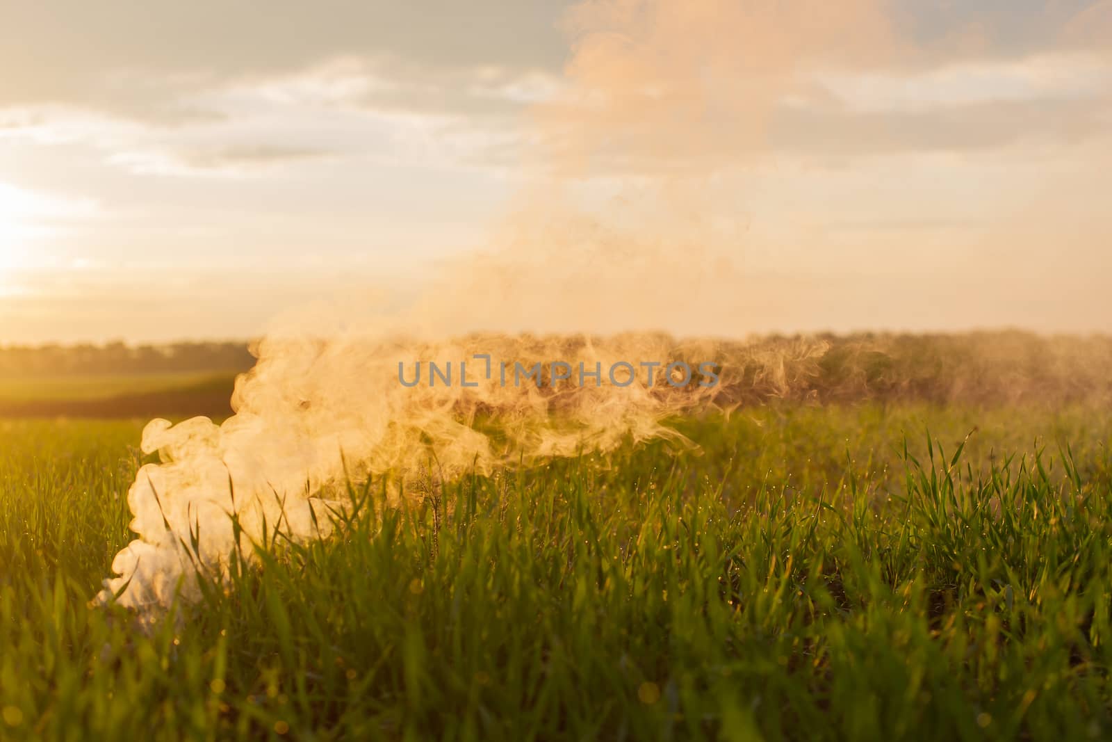 The white smoke in grass against evening sun. Sun near horizon. by alexsdriver