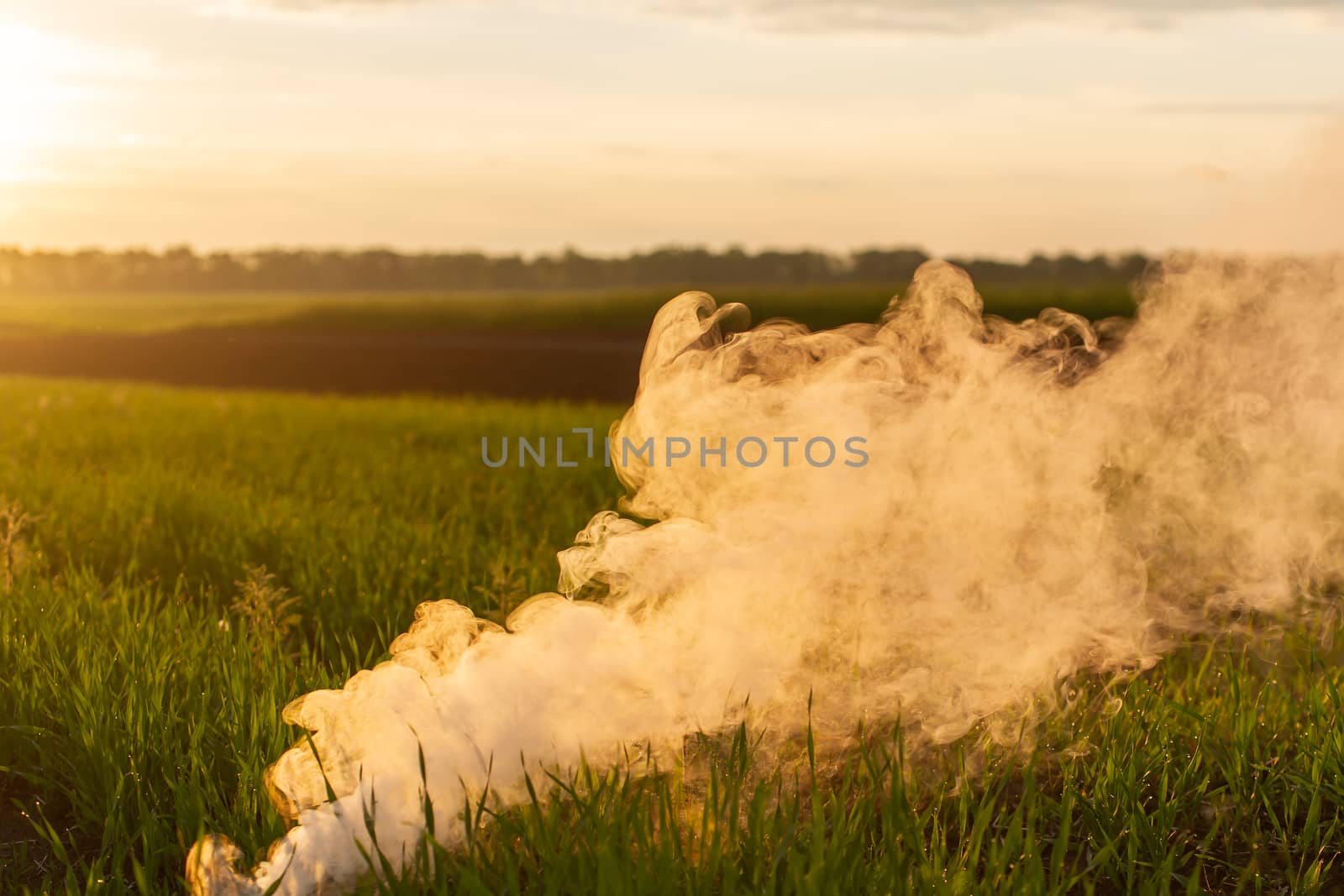 The white smoke in grass against evening sun. Golden time. by alexsdriver