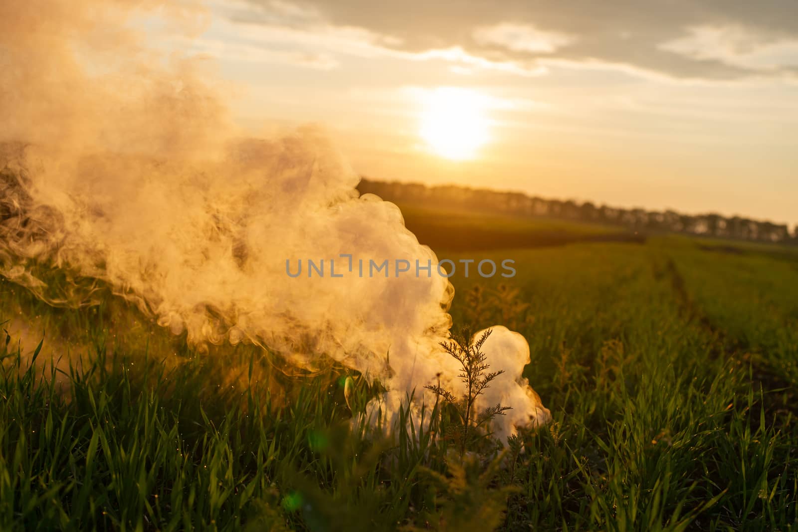 The white smoke in grass against evening sun.  by alexsdriver