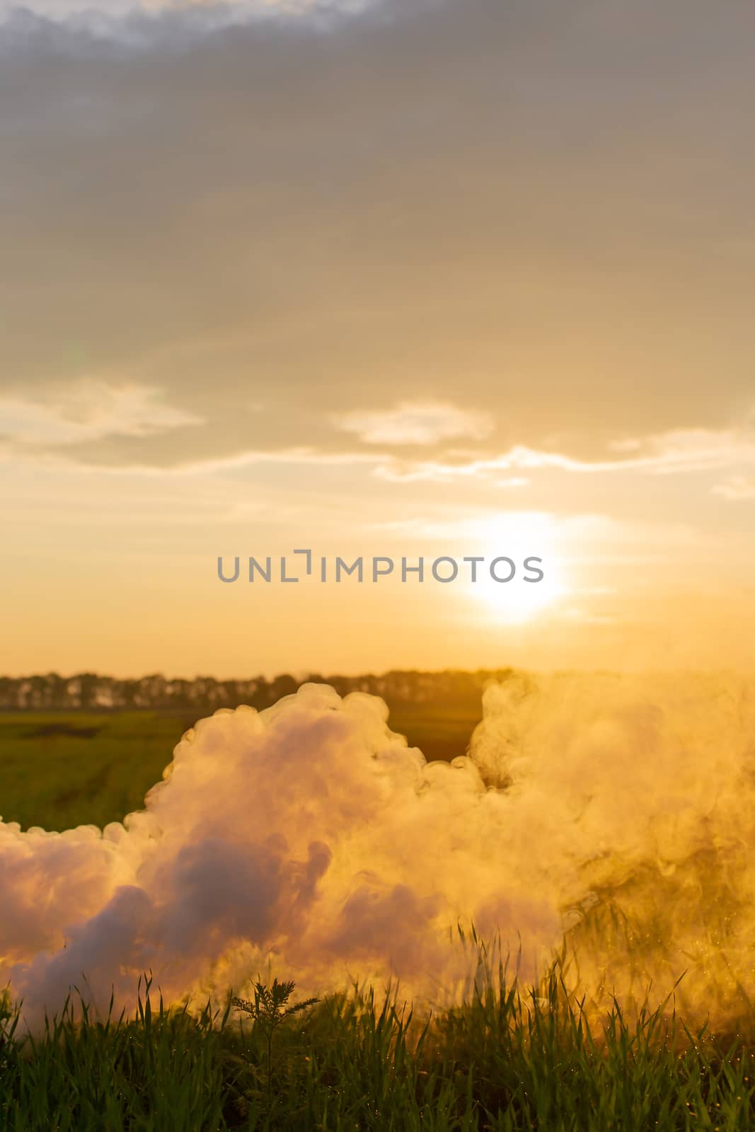 The white smoke in grass against evening sun. Sun near horizon.