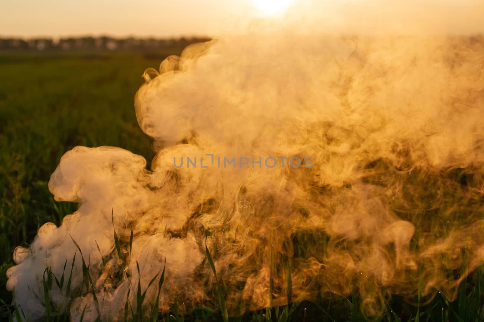 Big smoke bomb in young wheat. The white smoke in grass  by alexsdriver