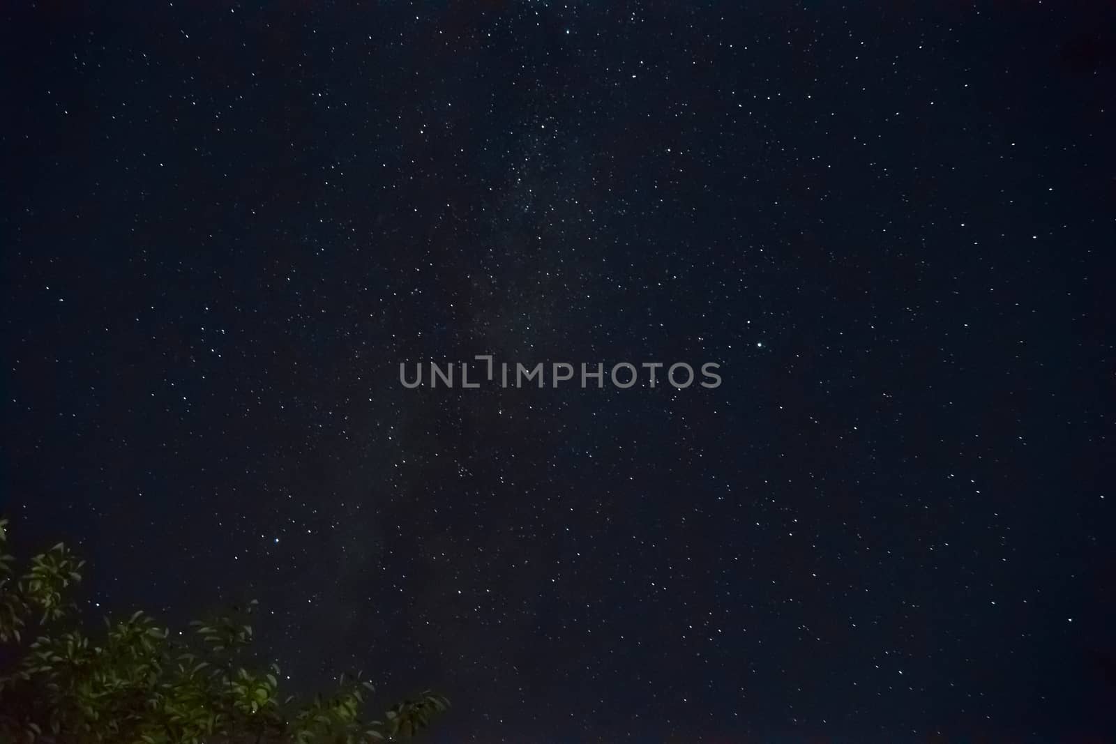 Long exposure night photo. A lot of stars with a lot of constellations. Nebula in sky with tree branch in frame. Night landscape with soft noise effect.