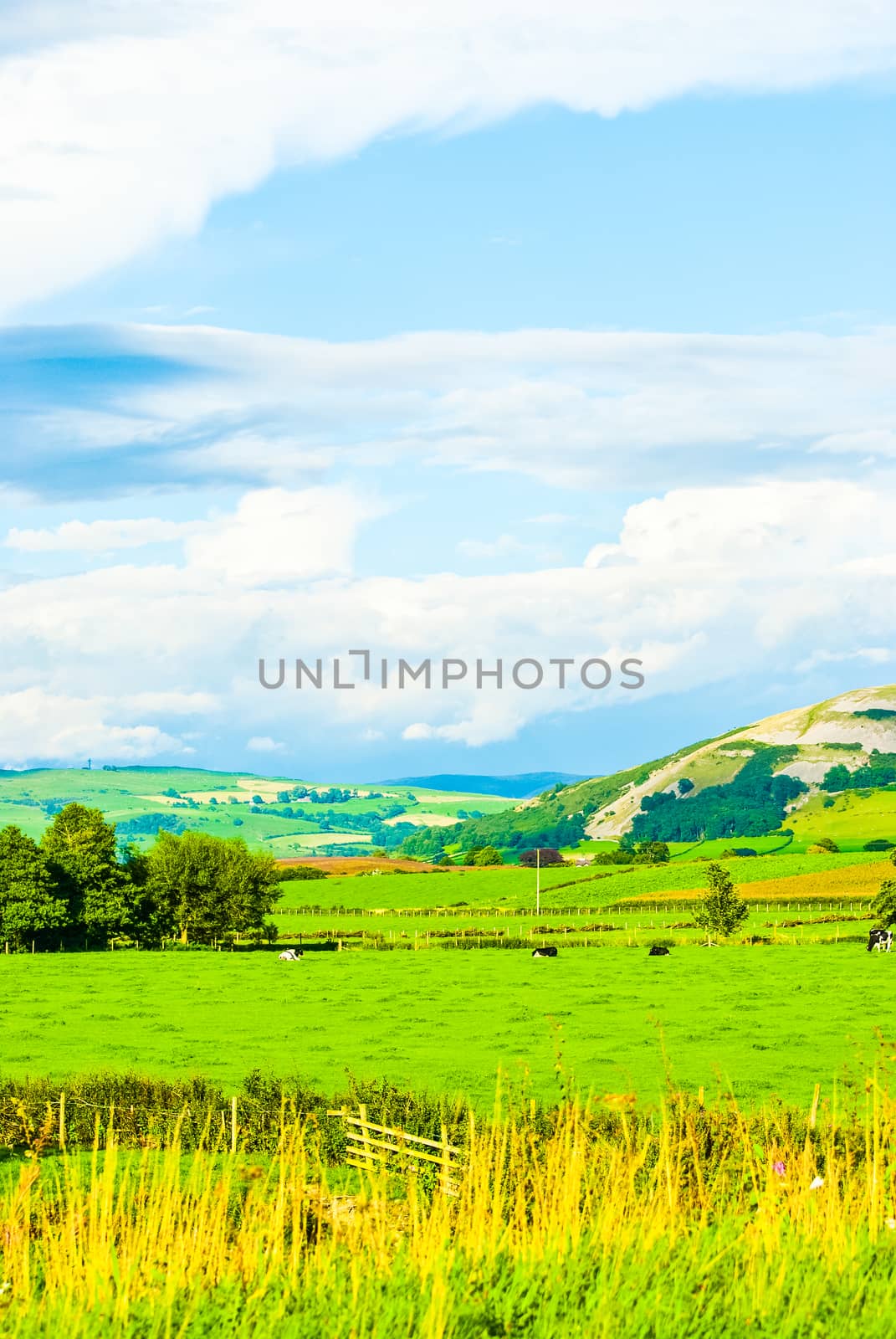 open grassland and sky farm field scenery scenic Outdoor landscape UK