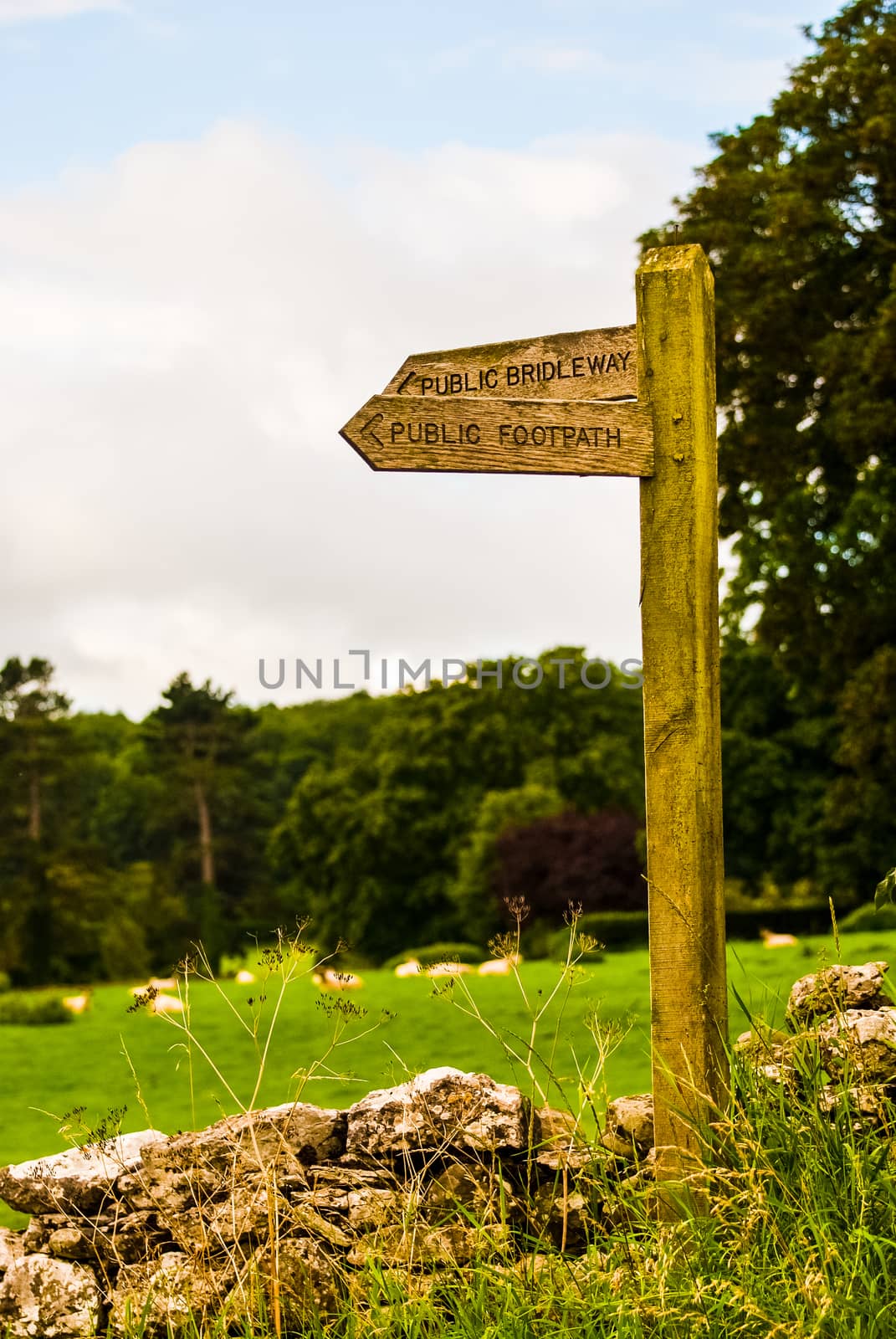 wooden public footpath sign in field next to a wall by paddythegolfer