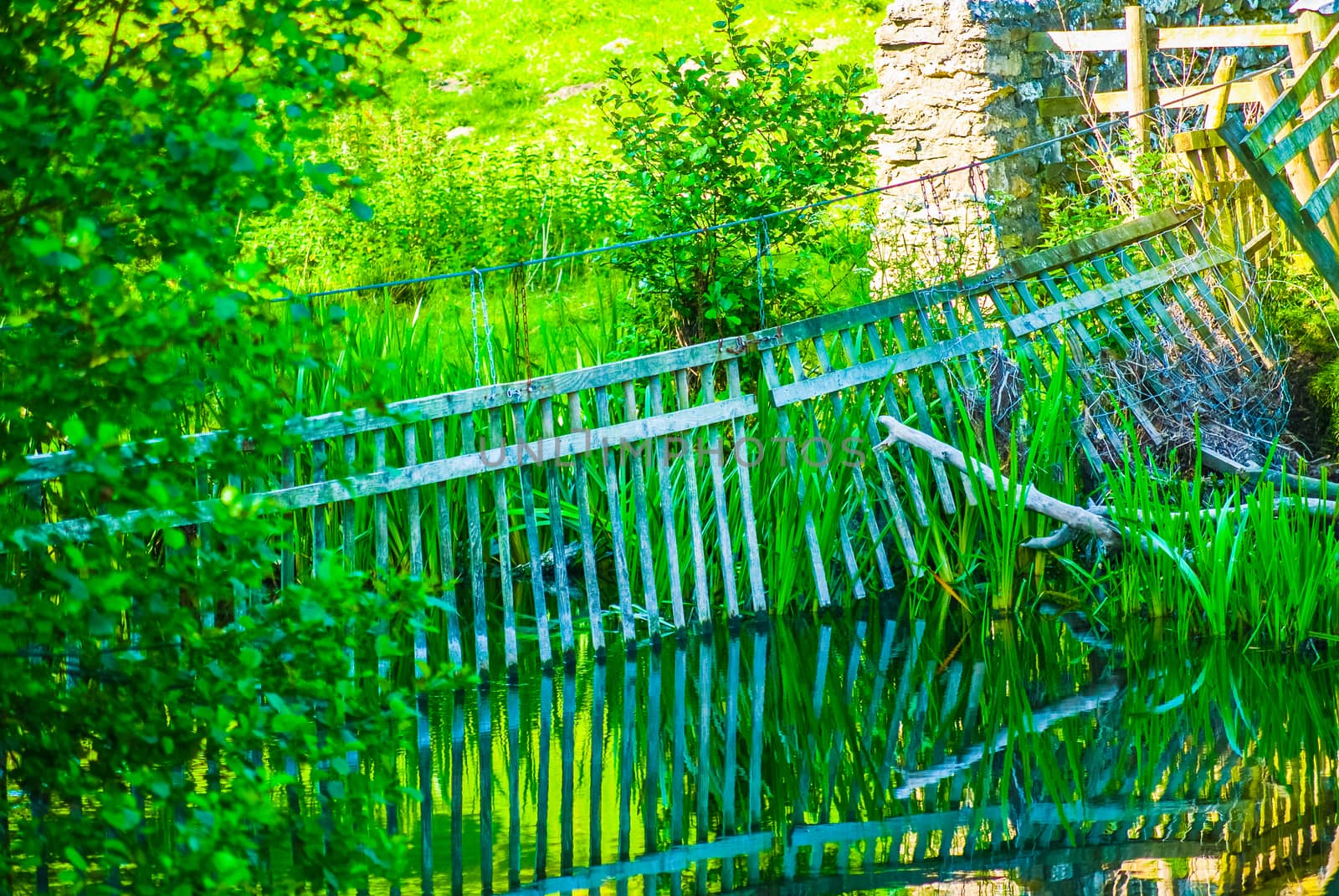 Deer gates on the river Bela Dallam Park UK