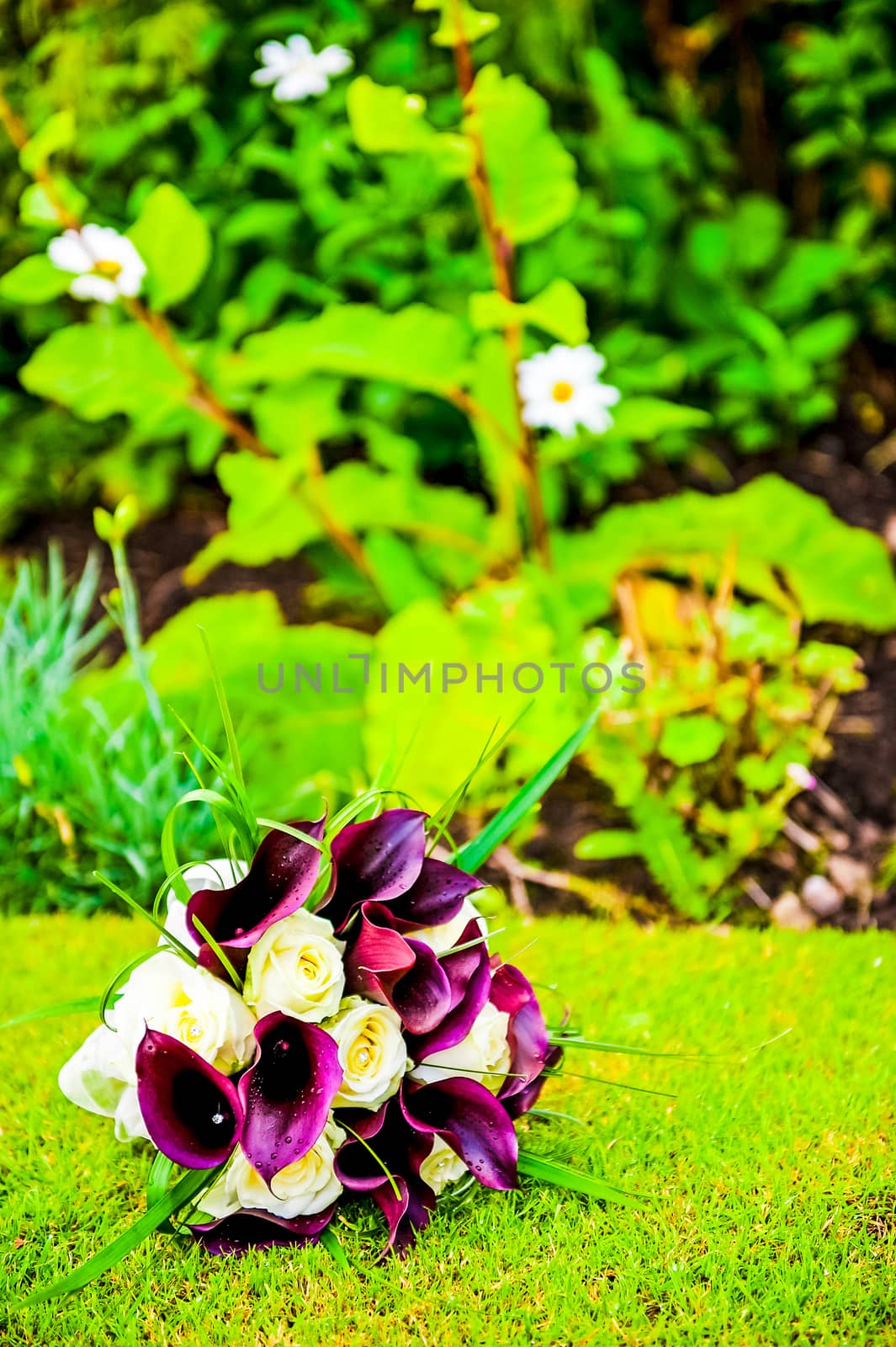 picture of a wedding bouquet , Wedding bouquet of purple Calla lilies on the grass by paddythegolfer