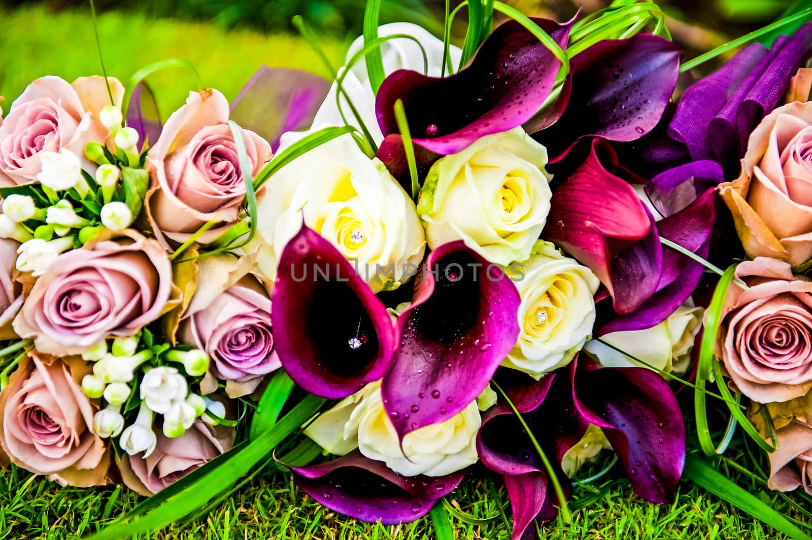 picture of a wedding bouquet , Wedding bouquet of purple Calla lilies on the grass by paddythegolfer