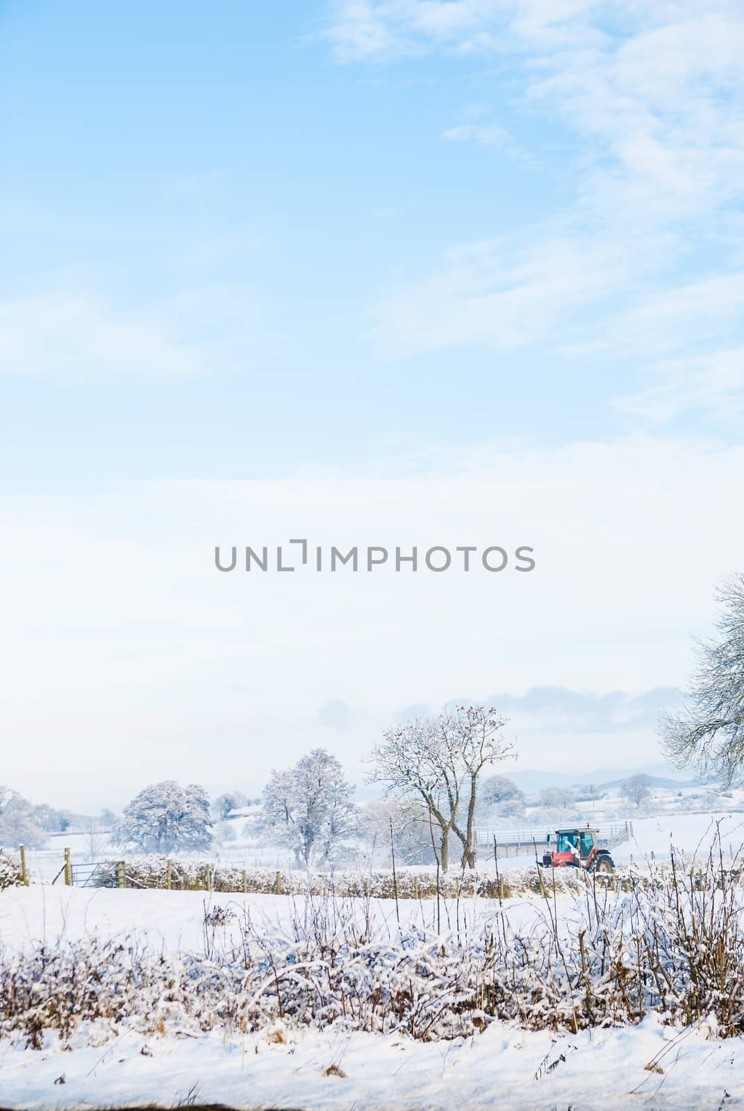 Trees and field in snow covered winter landscape UK