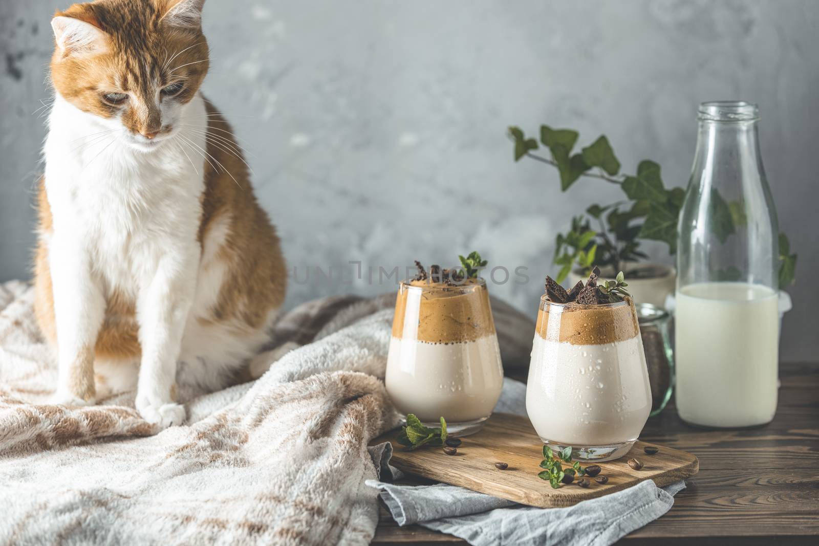 Cute red white cat and Two glasses of Iced Dalgona Coffee by ArtSvitlyna