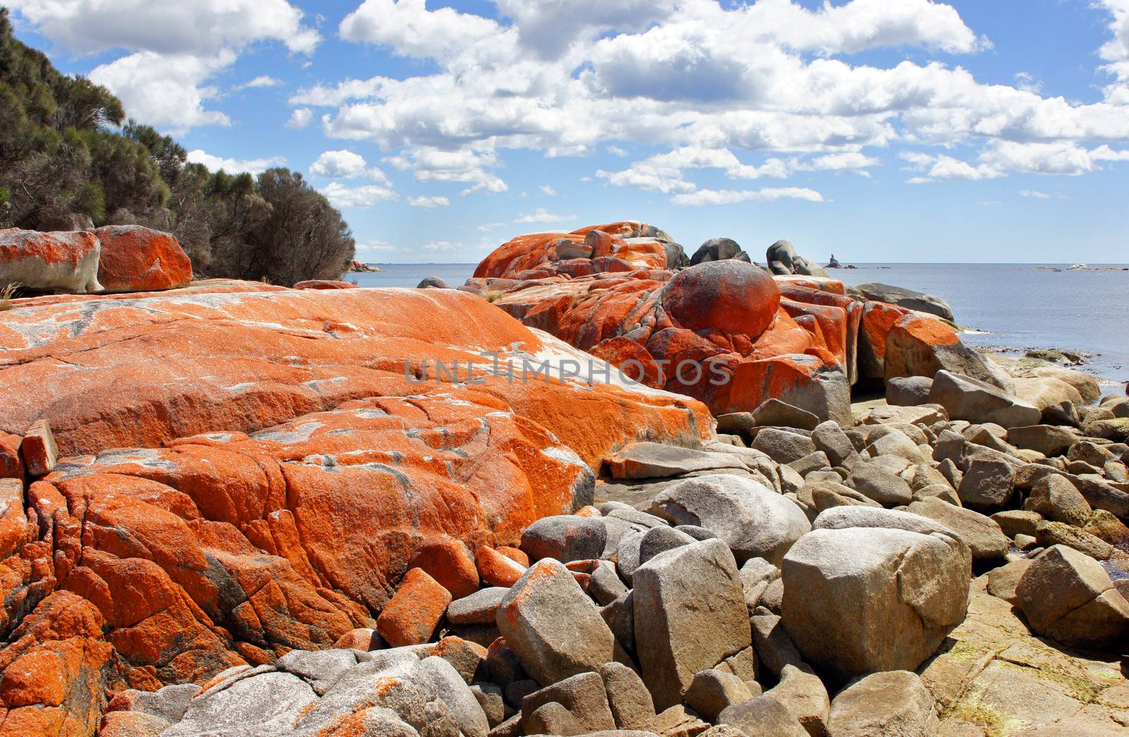 Bay of Fires, one of the most beautiful beaches of the world, Tasmania, Australia