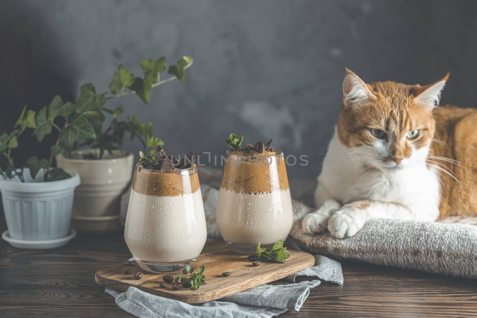 Cute red white cat. Two glasses of Iced Dalgona Coffee by ArtSvitlyna