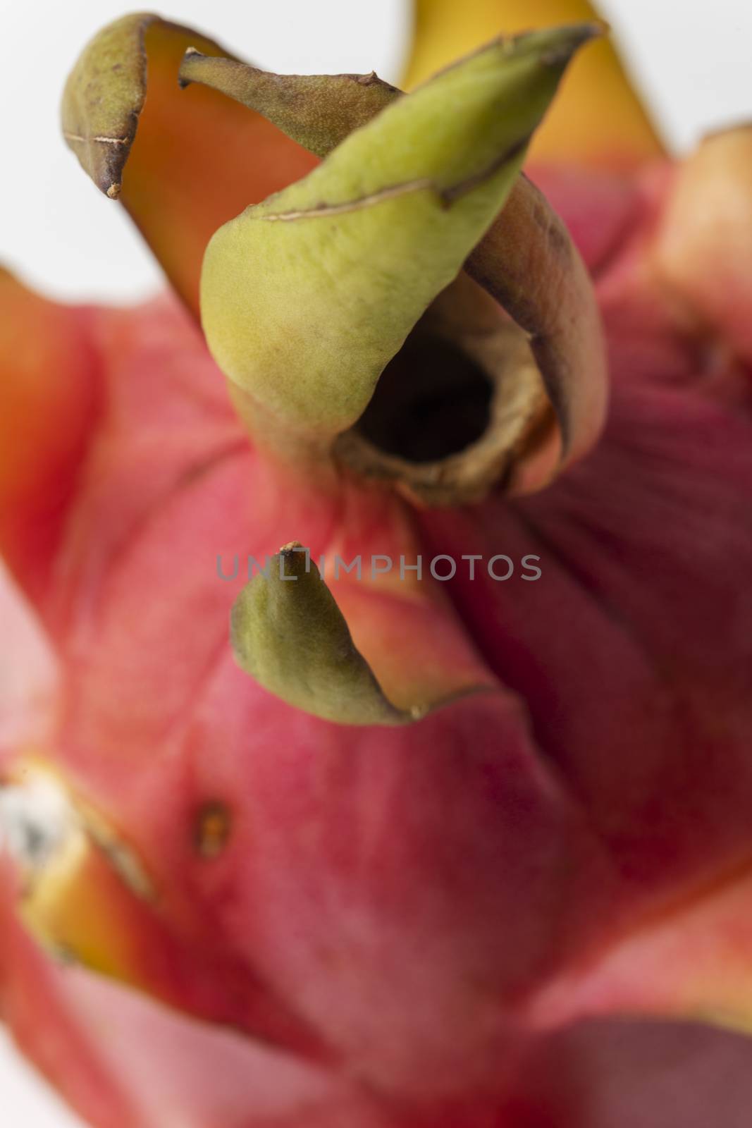 dragon fruit on white background