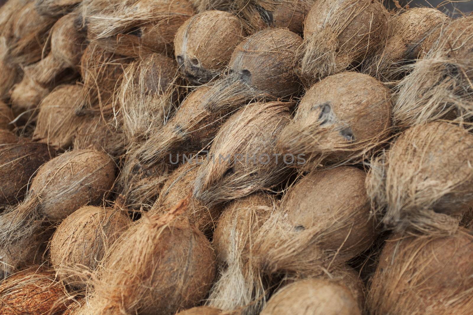 heap of fresh coconuts by bernjuer