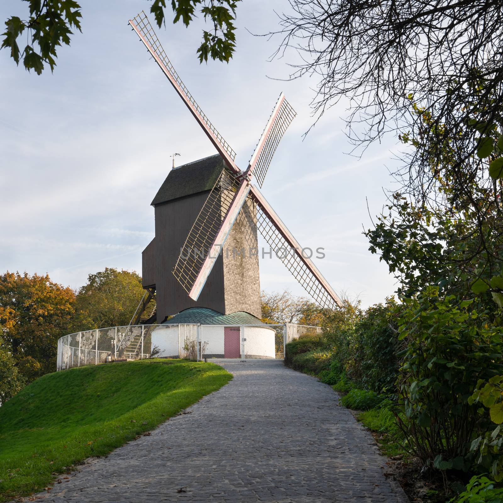 Historic windmill close to the canals of Bruges with autumnal colored trees, Belgium
