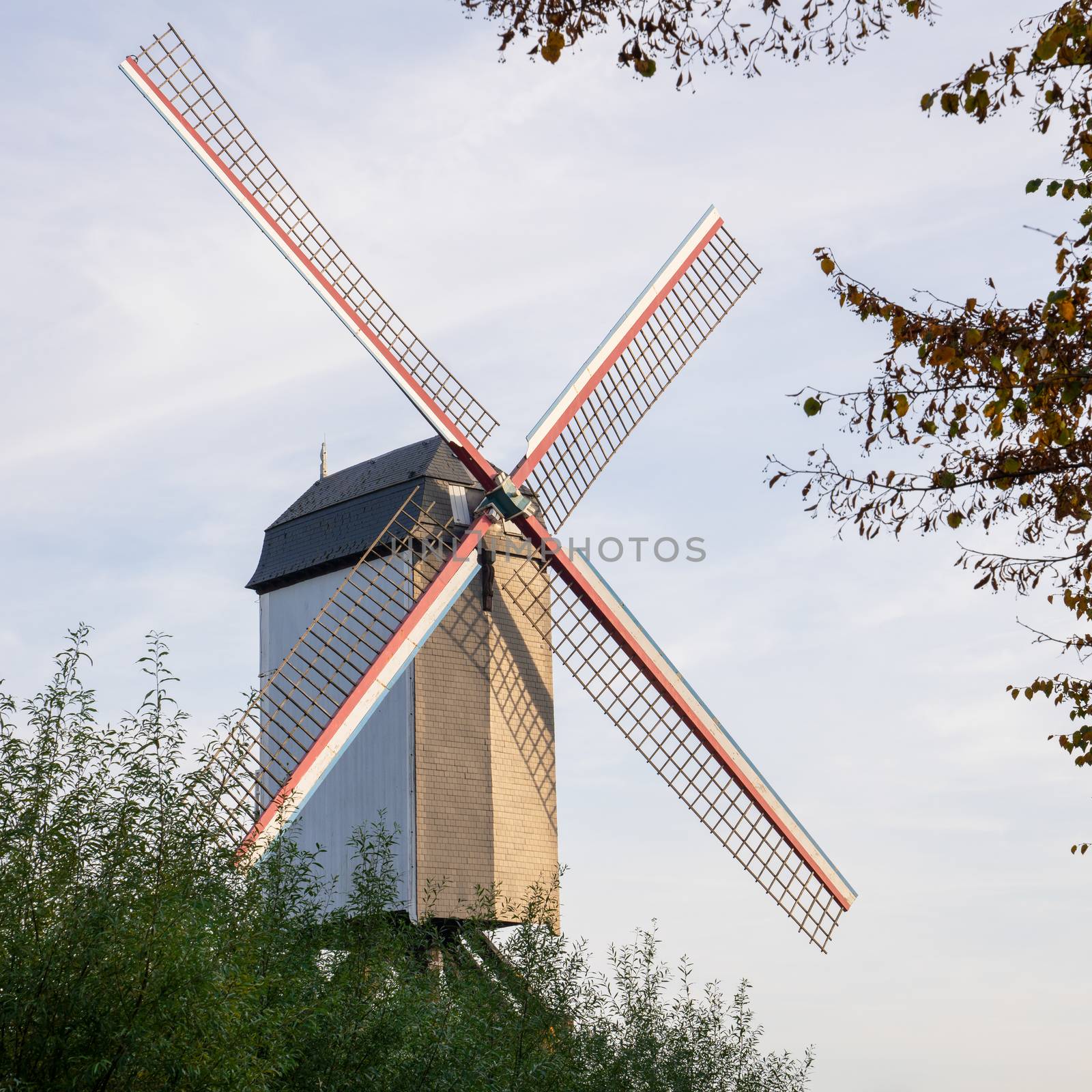 Historic windmill close to the canals of Bruges with autumnal colored trees, Belgium