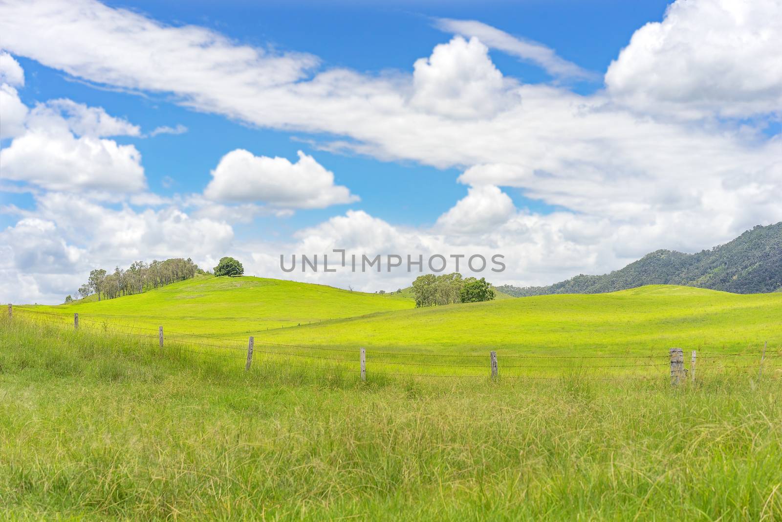 Australian country landscape scenic background showing a barbed wire fence on rural agricultural pasture with green grass and cloudy blue sky and sunlit hills