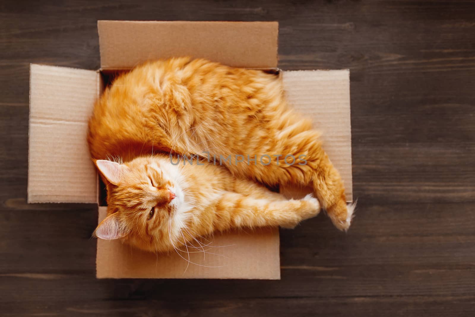 Ginger cat lies in box on wooden background. Fluffy pet is doing to sleep there. by aksenovko