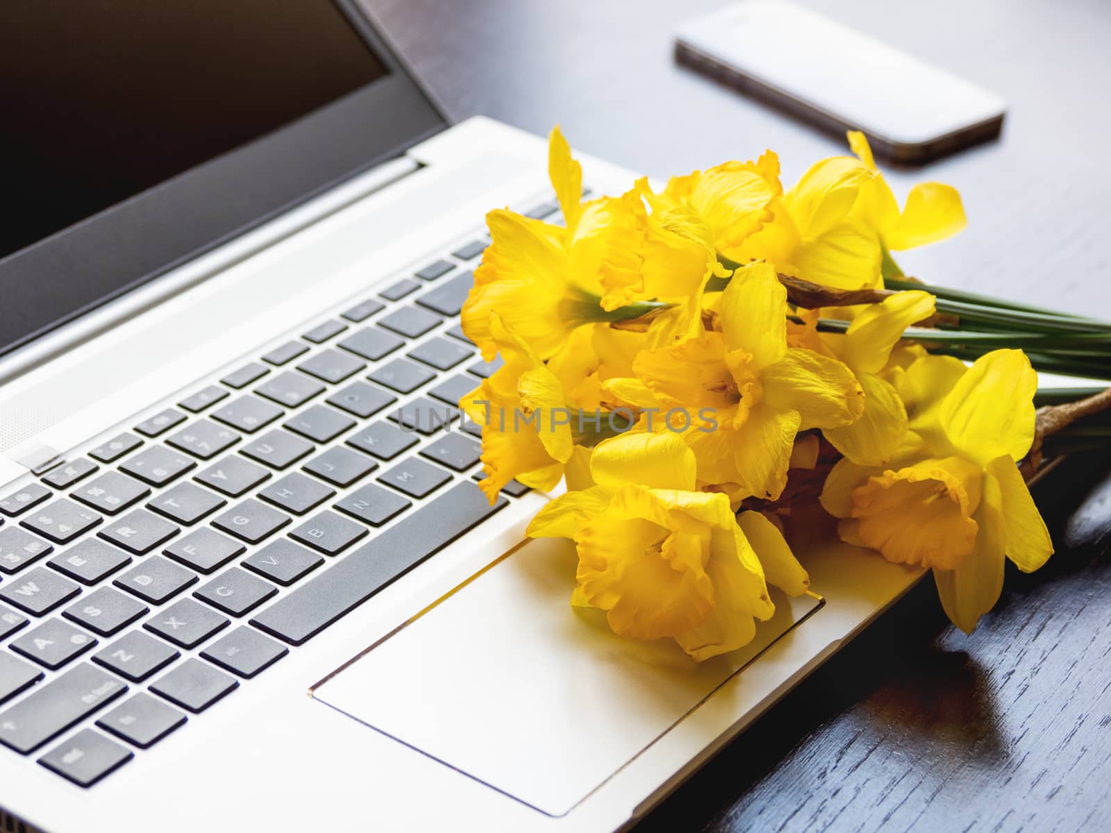 Bouquet of Narcissus or daffodils lying on silver metal laptop. Bright yellow flowers on portable device. Smartphone on wooden background. by aksenovko
