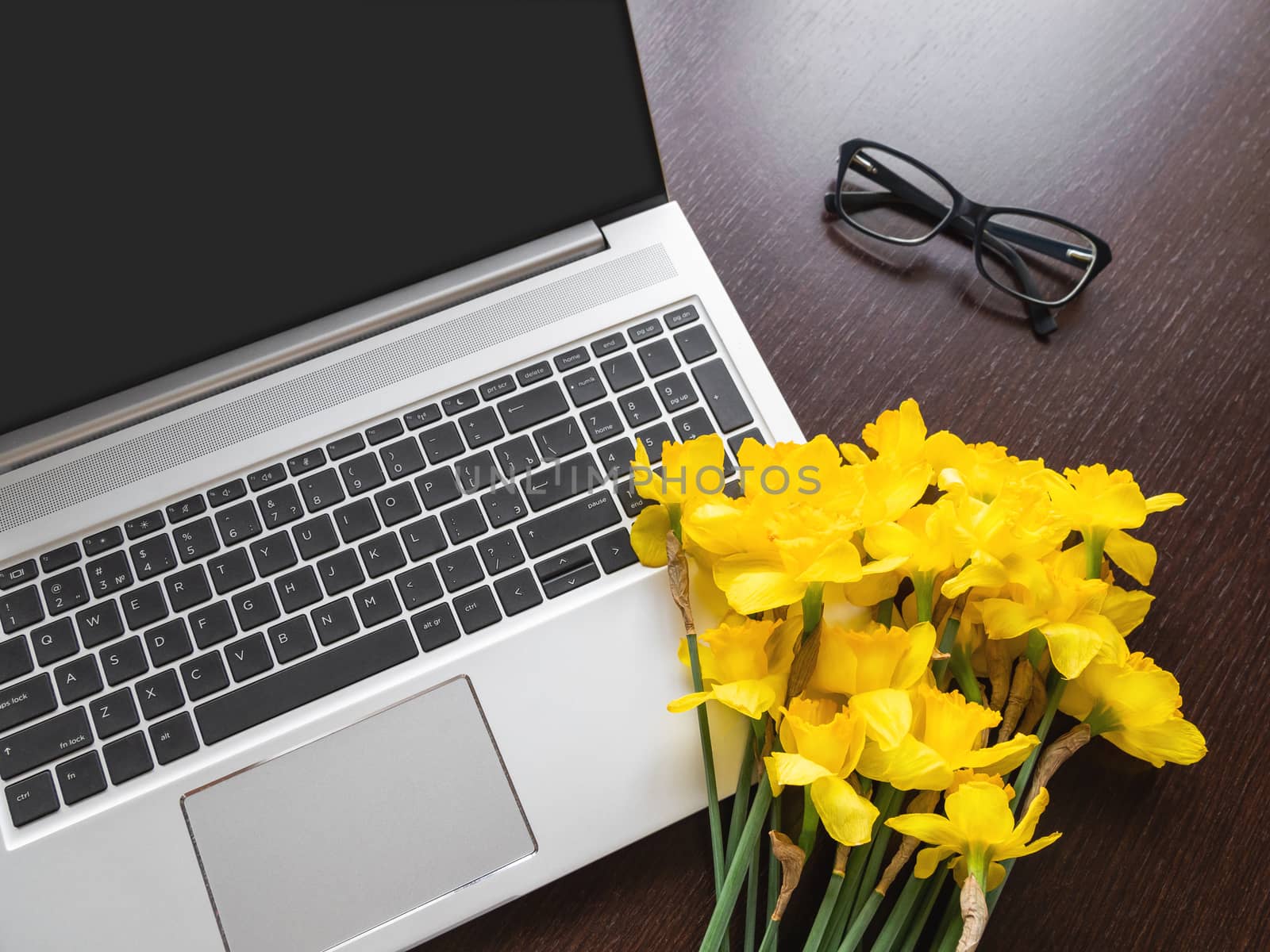 Bouquet of Narcissus or daffodils lying on silver metal laptop. Bright yellow flowers on portable device. Wooden background with glasses.