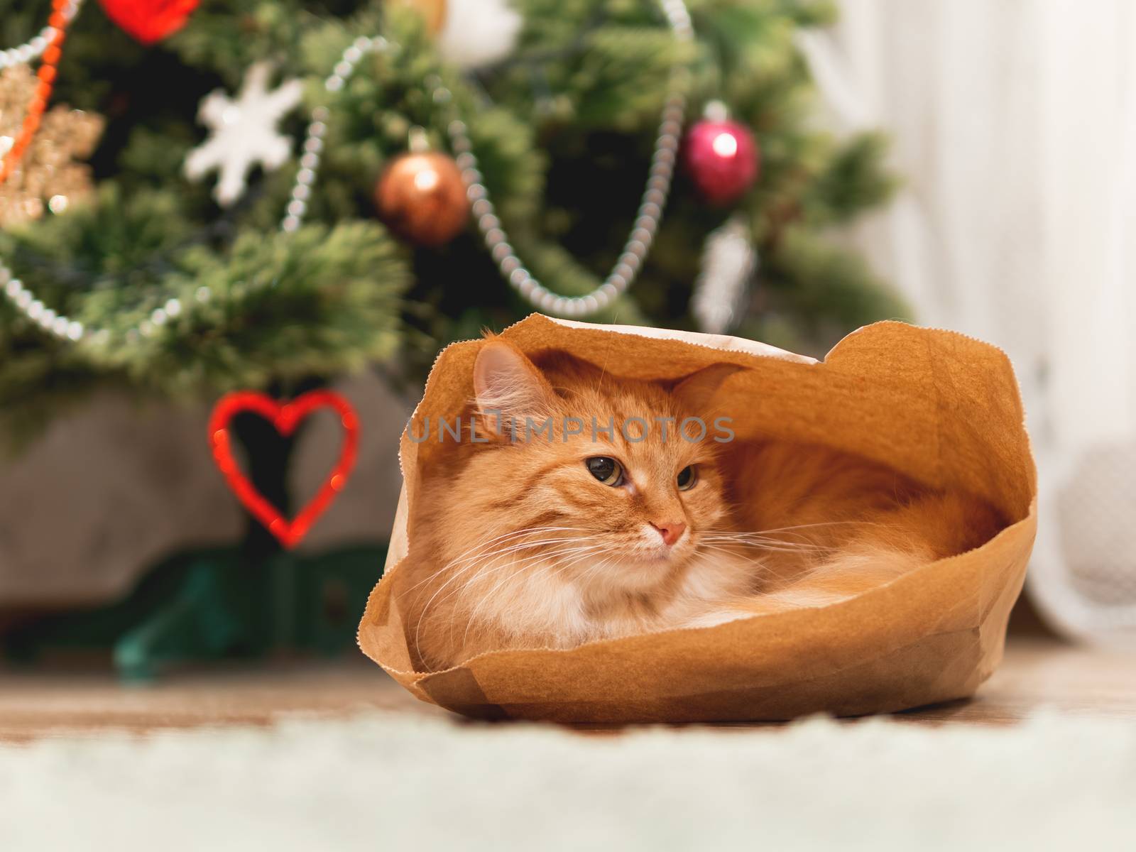 Cute ginger cat is hiding in craft paper bag. Fluffy pet in wrapping paper under the Christmas tree. Cozy home with decorations for New Year celebration.