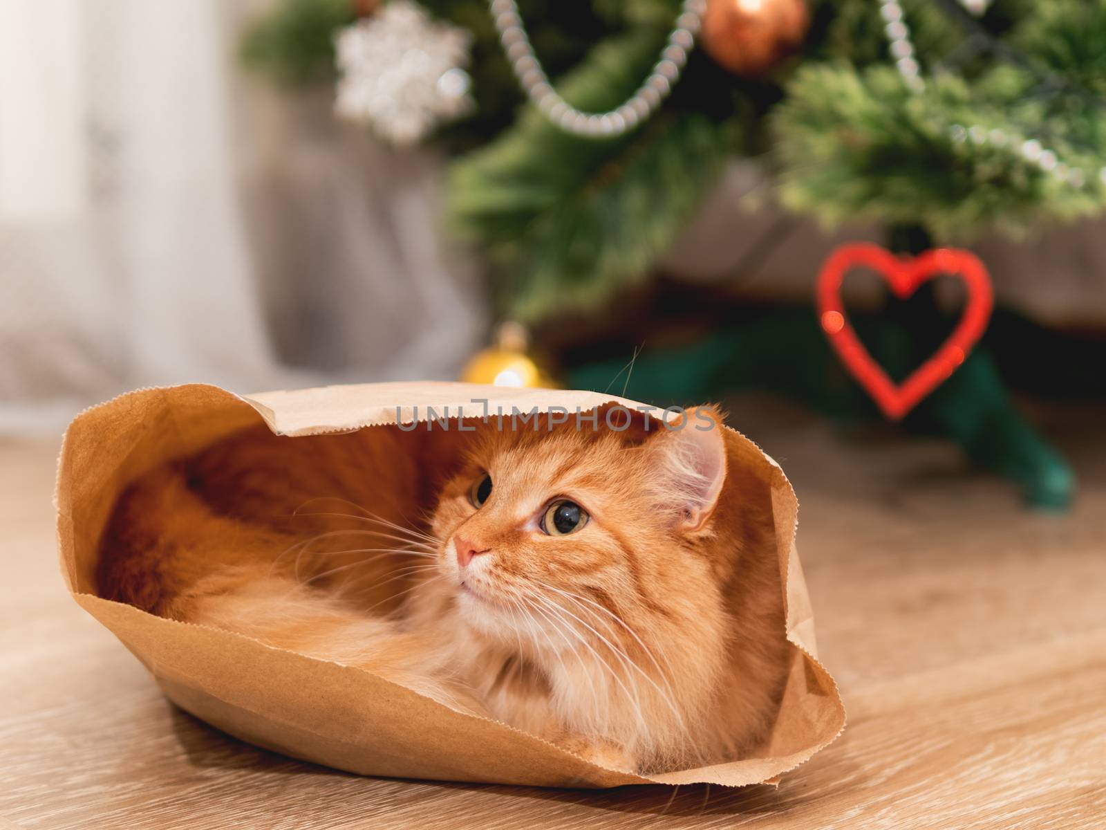 Cute ginger cat is hiding in craft paper bag. Fluffy pet in wrapping paper under the Christmas tree. Cozy home with decorations for New Year celebration.