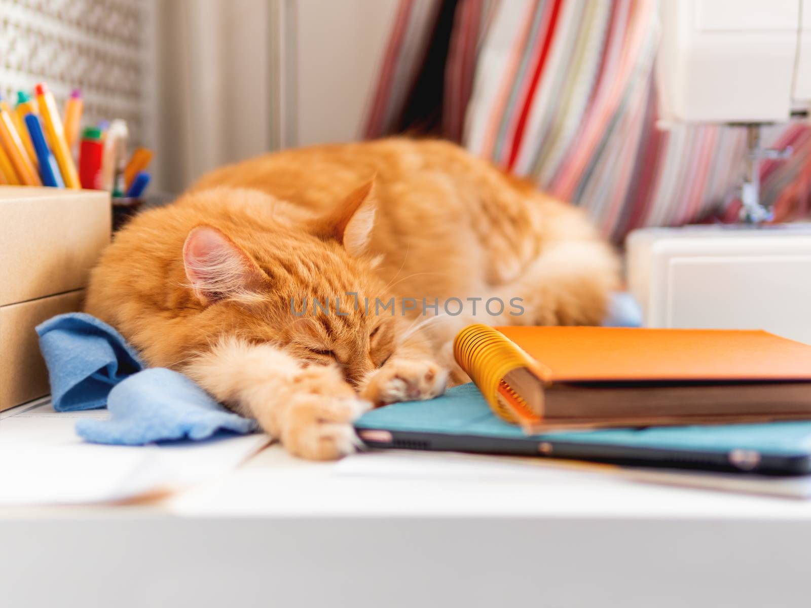 Cute ginger cat is sleeping among office supplies and sewing machine. Fluffy pet dozing on stationery. Cozy home background.