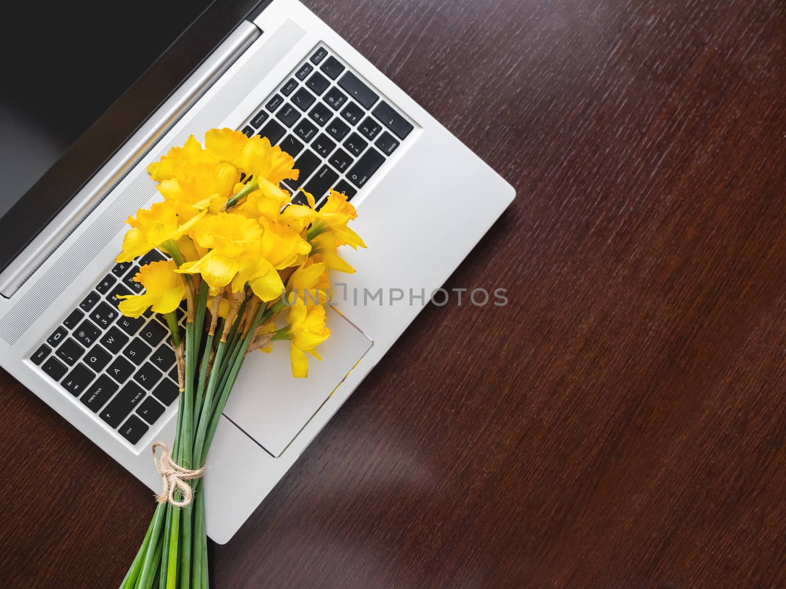 Bouquet of Narcissus or daffodils lying on silver metal laptop. Top view on bright yellow flowers on portable device. Wooden background. Banner with copy space.