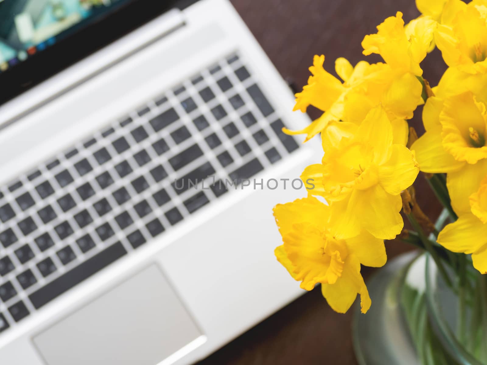 Bouquet of Narcissus or daffodils in glass vase over silver metal laptop. Bright yellow flowers with portable device. Wooden background.