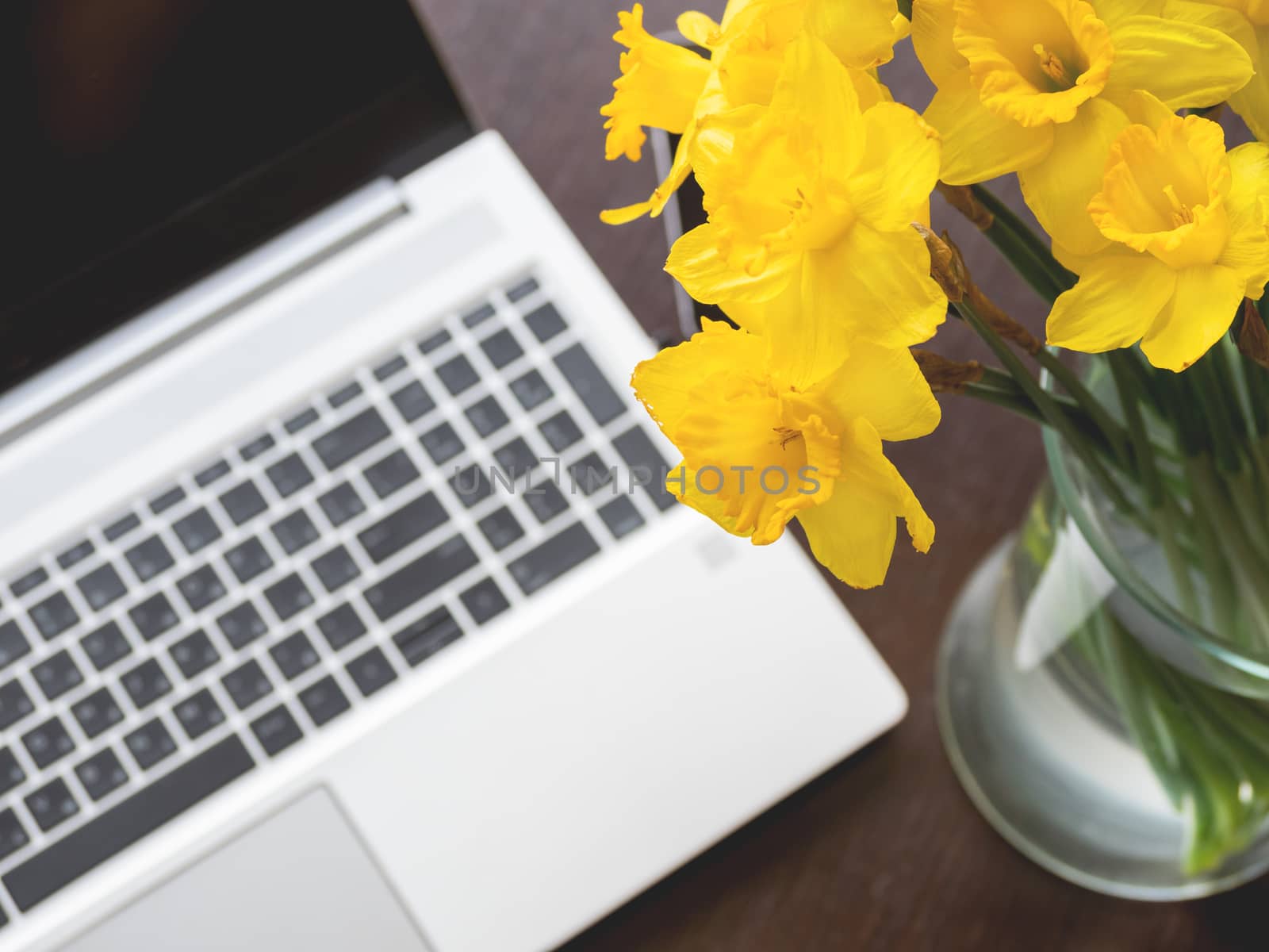 Bouquet of Narcissus or daffodils in glass vase over silver metal laptop. Bright yellow flowers with portable device. Wooden background.