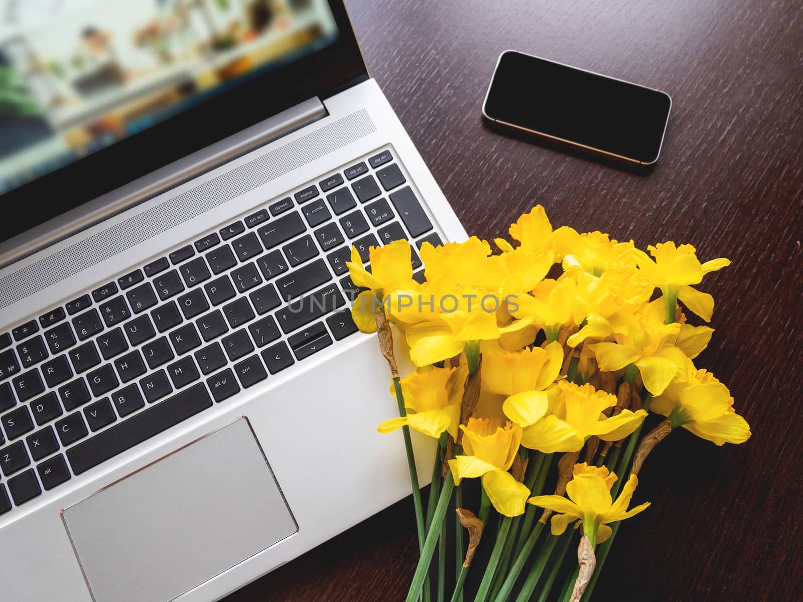 Bouquet of Narcissus or daffodils lying on silver metal laptop. Bright yellow flowers on portable device. Smartphone on wooden background.