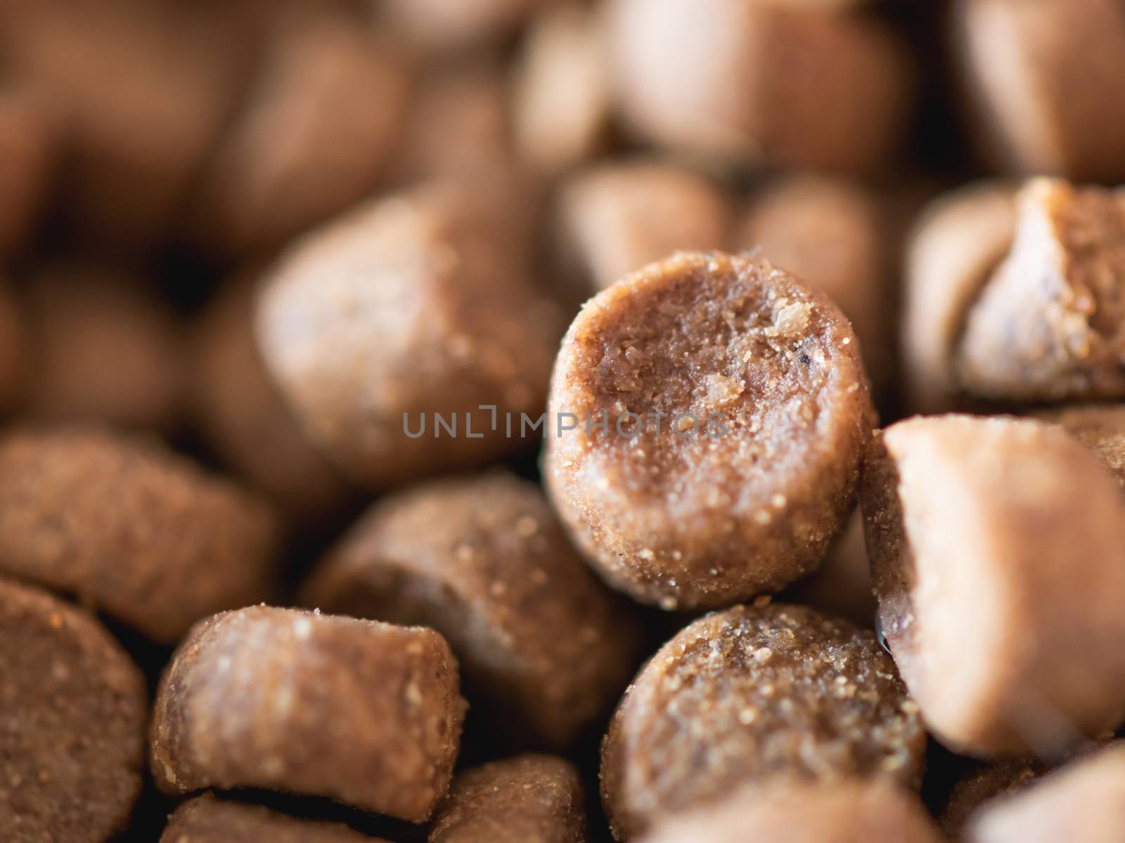 Macro photo of dry cat food. Special edible dry pieces for fluffy pets. by aksenovko