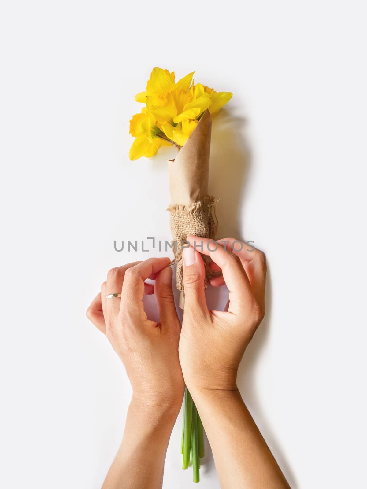 Woman is wrapping bouquet of Narcissus or daffodils in craft paper.. Bright yellow flowers on white background.