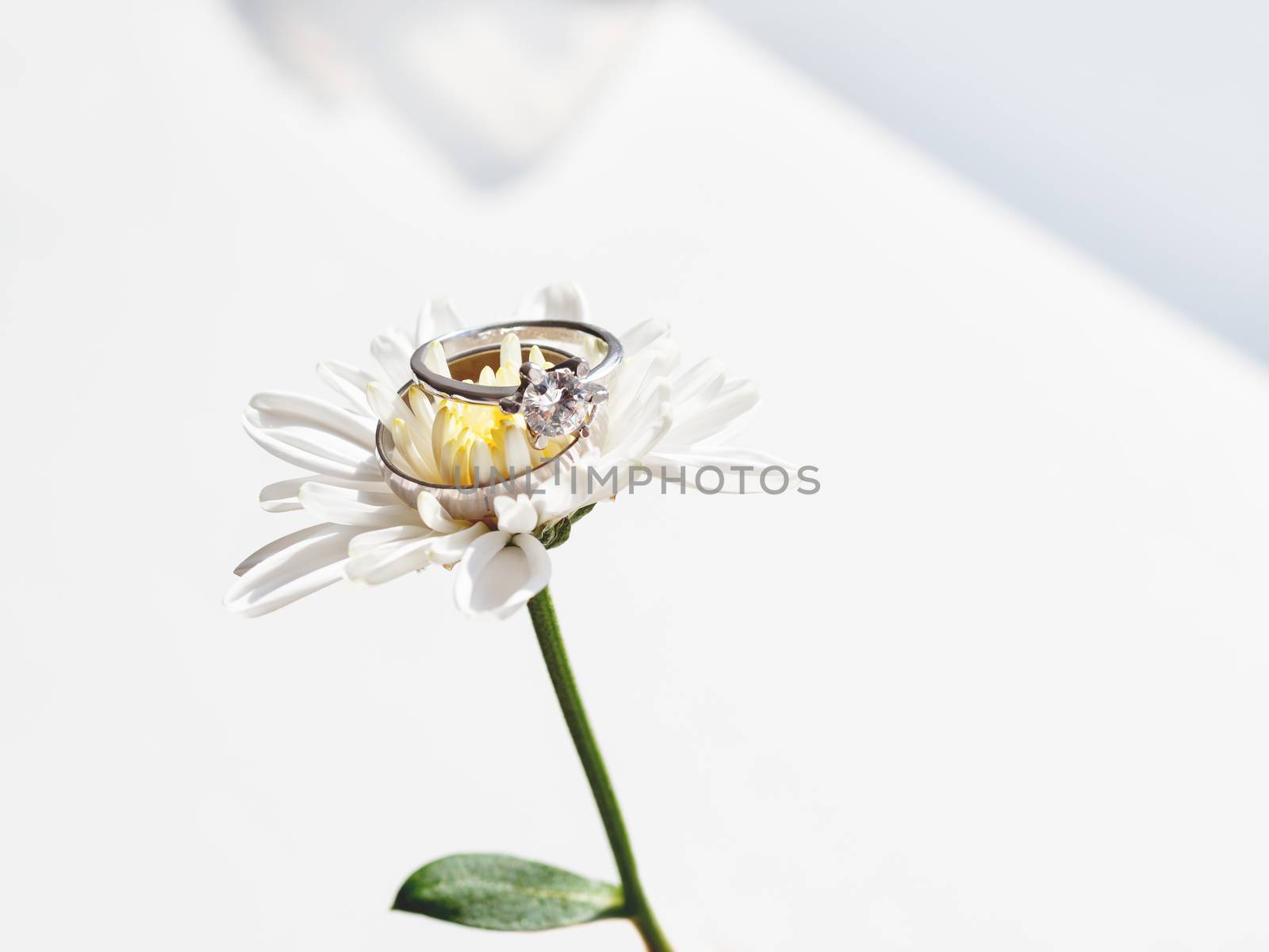 Pair of wedding and engagement rings with diamond on chamomile. Symbol of love and marriage on white flower.