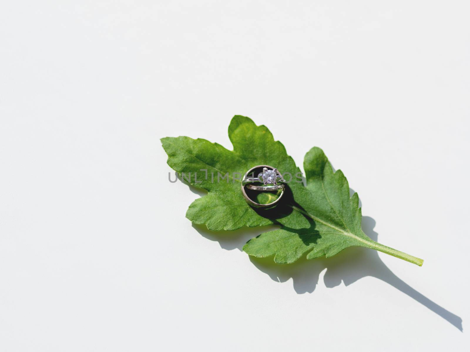 Pair of wedding and engagement rings with diamond on green leaf. Symbol of love and marriage on white background with copy space.