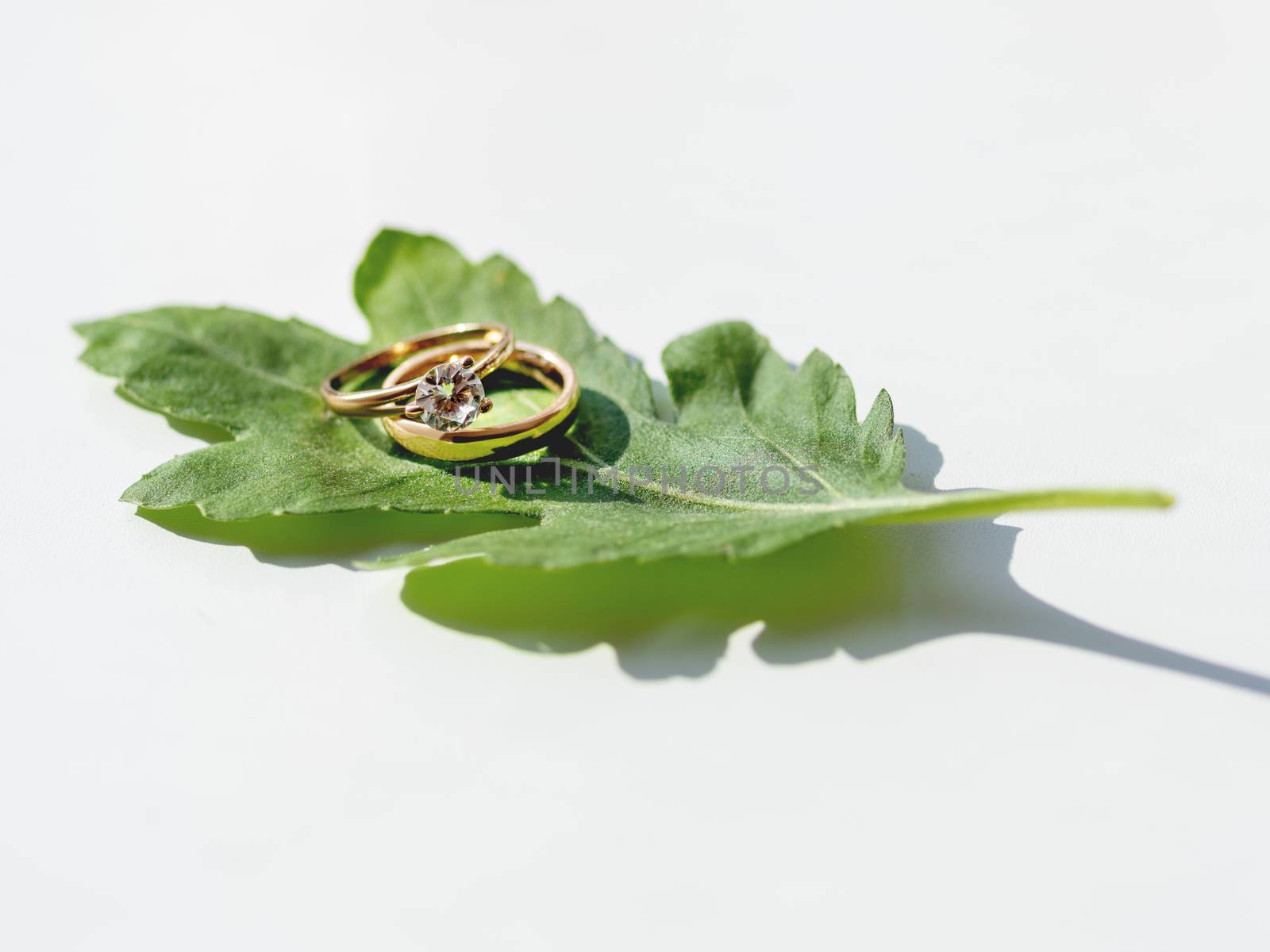 Pair of wedding and engagement rings with diamond on green leaf. Symbol of love and marriage on white background with copy space.