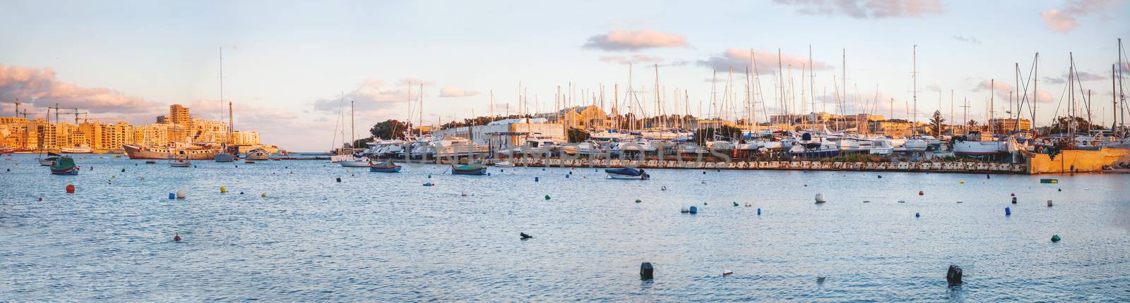 Sunset panorama view of Marsamxett harbour. Many sailing yachts moored on pier. Seashores of Sliema and Valletta, Malta. by aksenovko