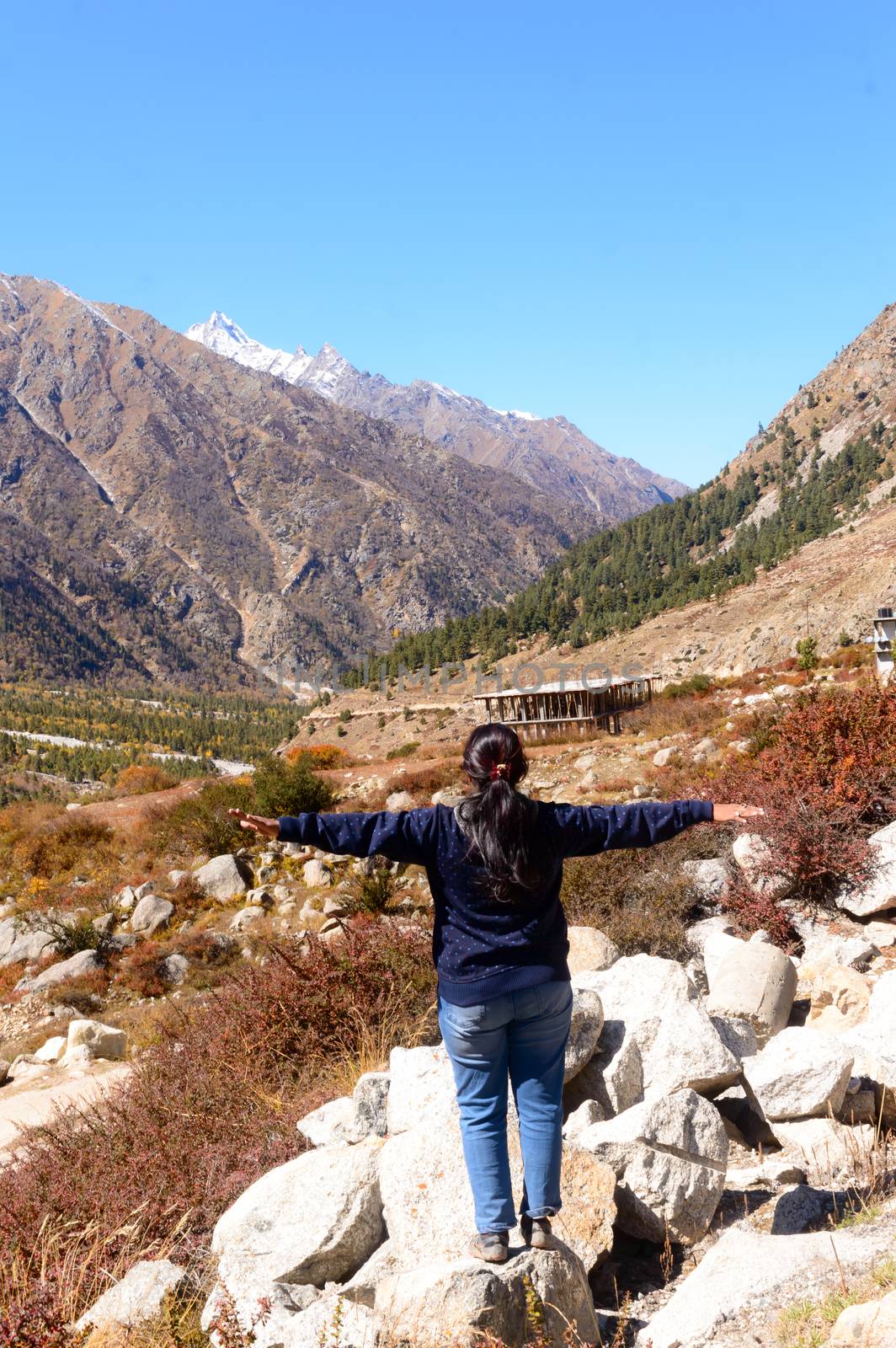 Rear View of Solo Woman Indian traveler in winter casual standing alone with arms outstretched in remote mountain valley. Snow capped Himalayan mountain forest blue sky in background. Spiti Valley Himachal Pradesh India South Asia Pac by sudiptabhowmick