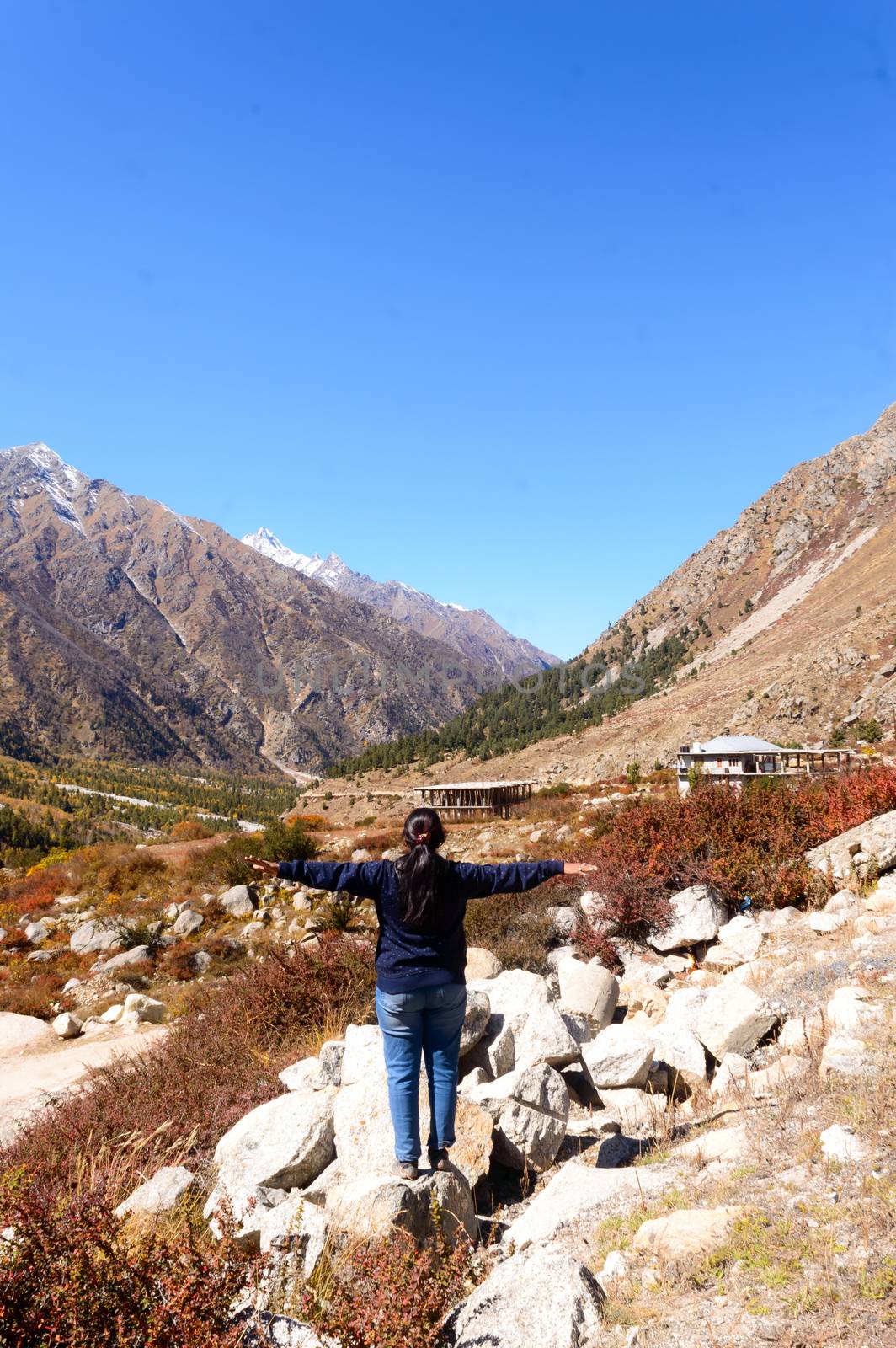 Rear View of Solo Woman Indian traveler in winter casual standing alone with arms outstretched in remote mountain valley. Snow capped Himalayan mountain forest blue sky in background. Spiti Valley Himachal Pradesh India South Asia Pac