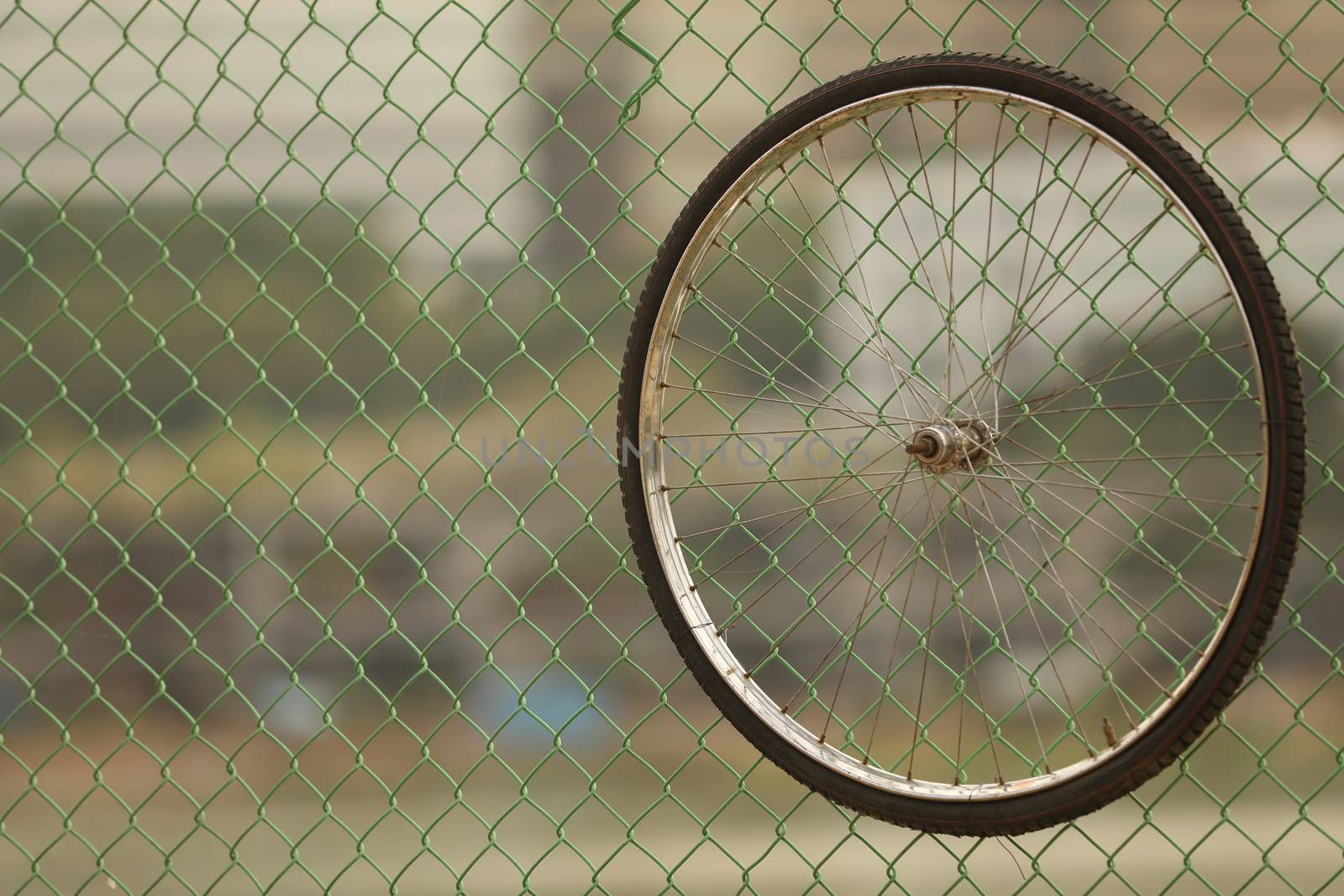 Bicycle wheel Hanging