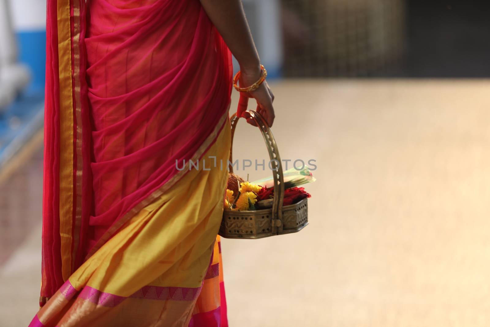 Indian Female in a Traditional Dress