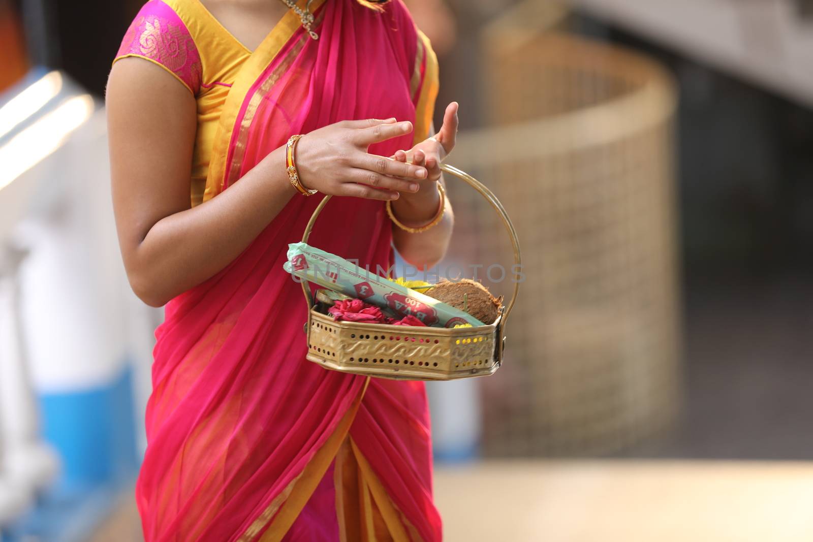 Indian Female in a Traditional Dress