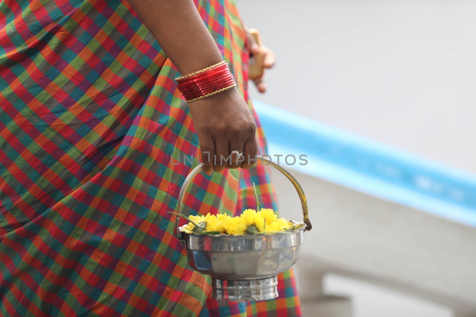 Indian Female in a Traditional Dress