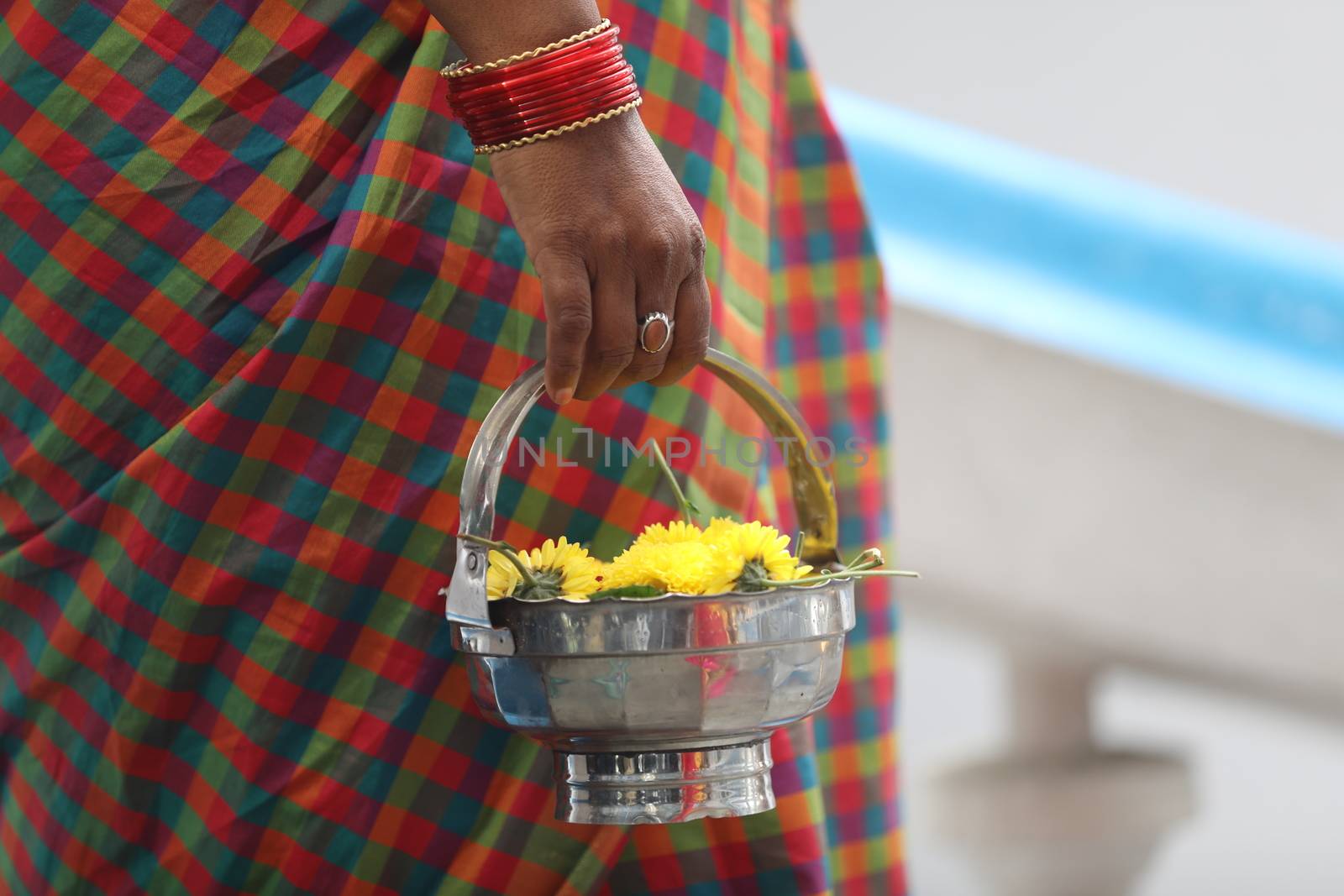 Indian Female in a Traditional Dress